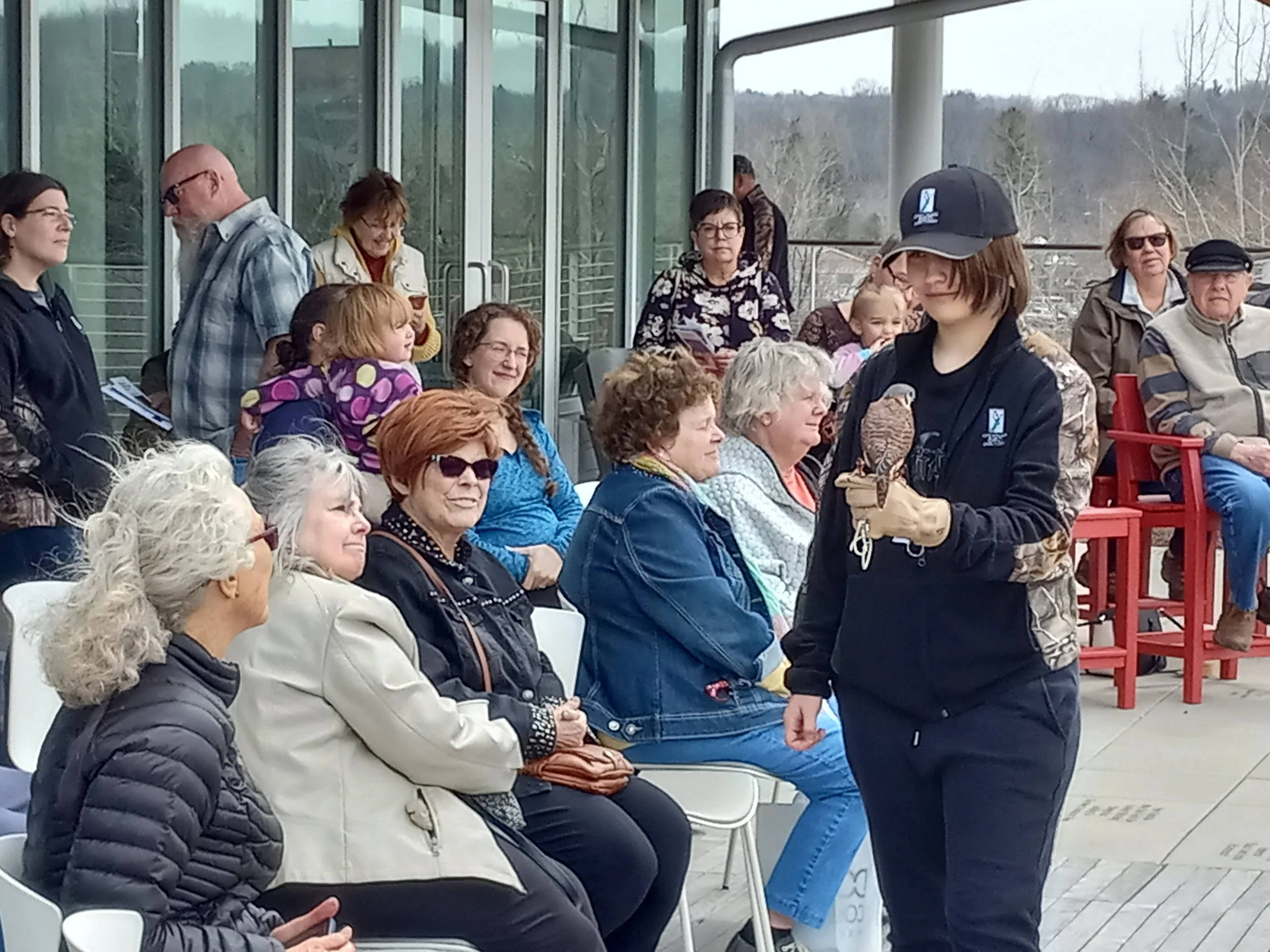 On the Deck: Experience Birds of Prey with Open Door Bird Sanctuary