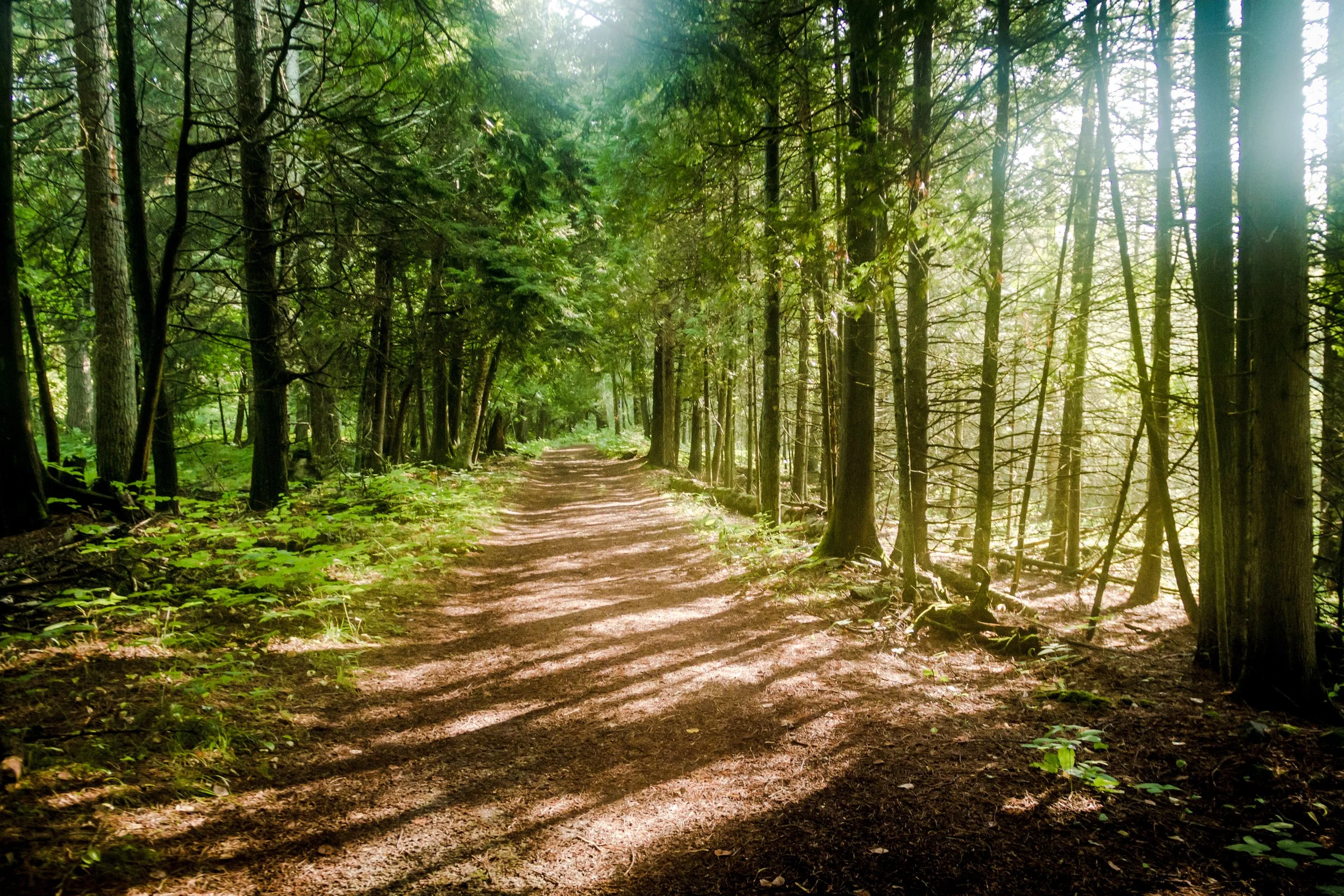  Nordic Wisdom for Living in Relationship with Nature