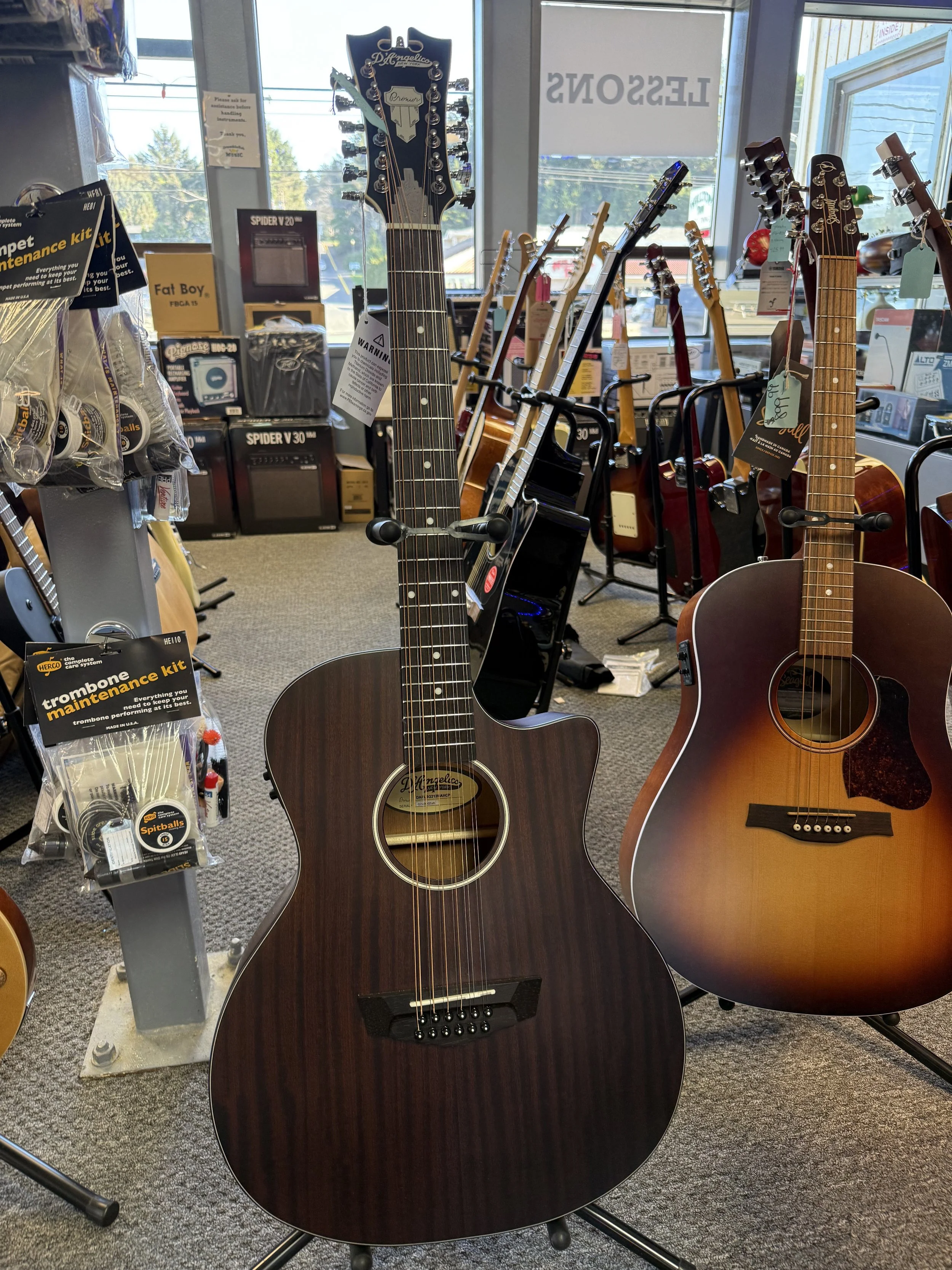 D'angelico Premier fulton 12 string acoustic/electric guitar