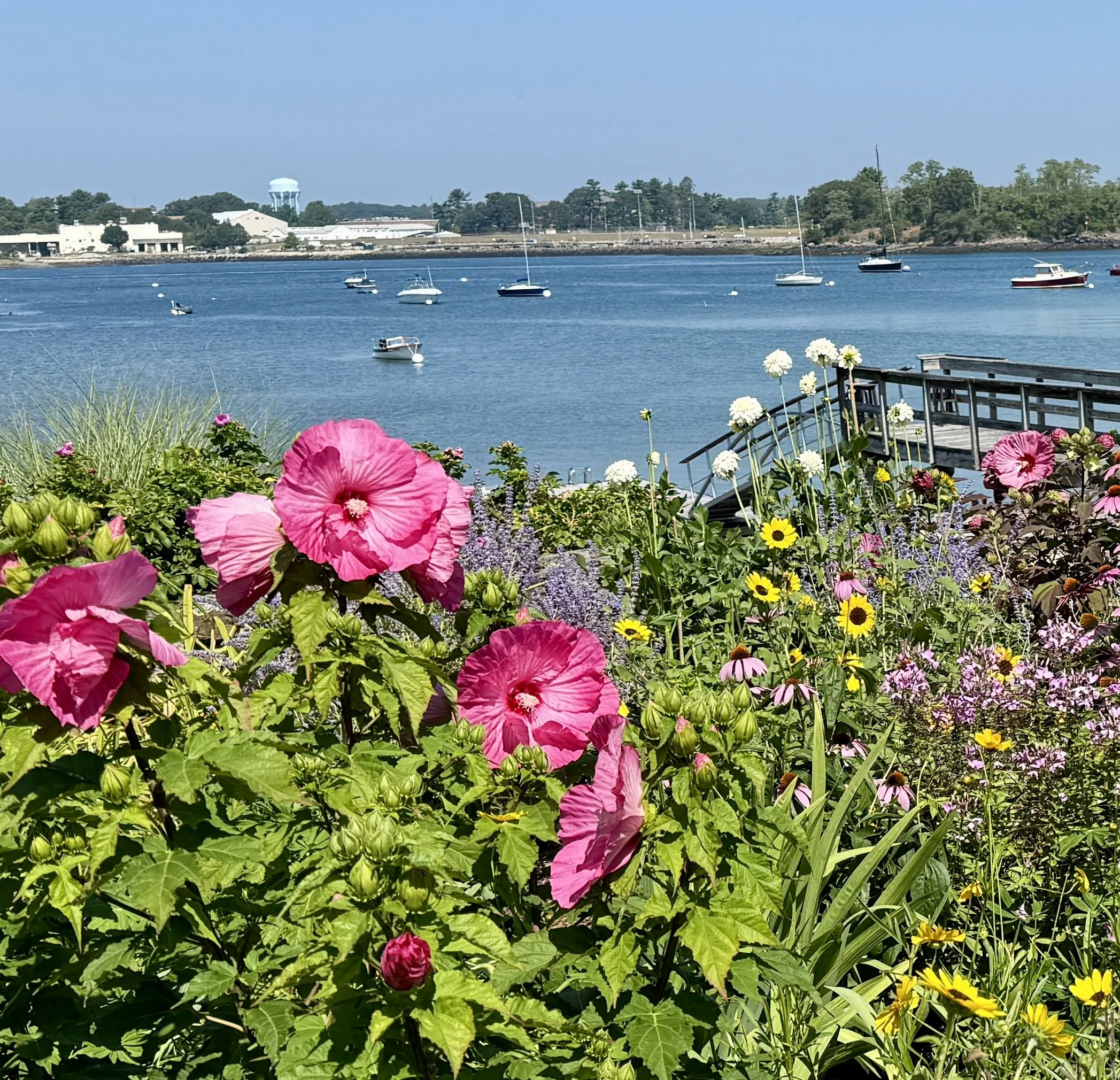 Colorful flowers in the foreground with a waterfront and boats in the background under a blue sky.