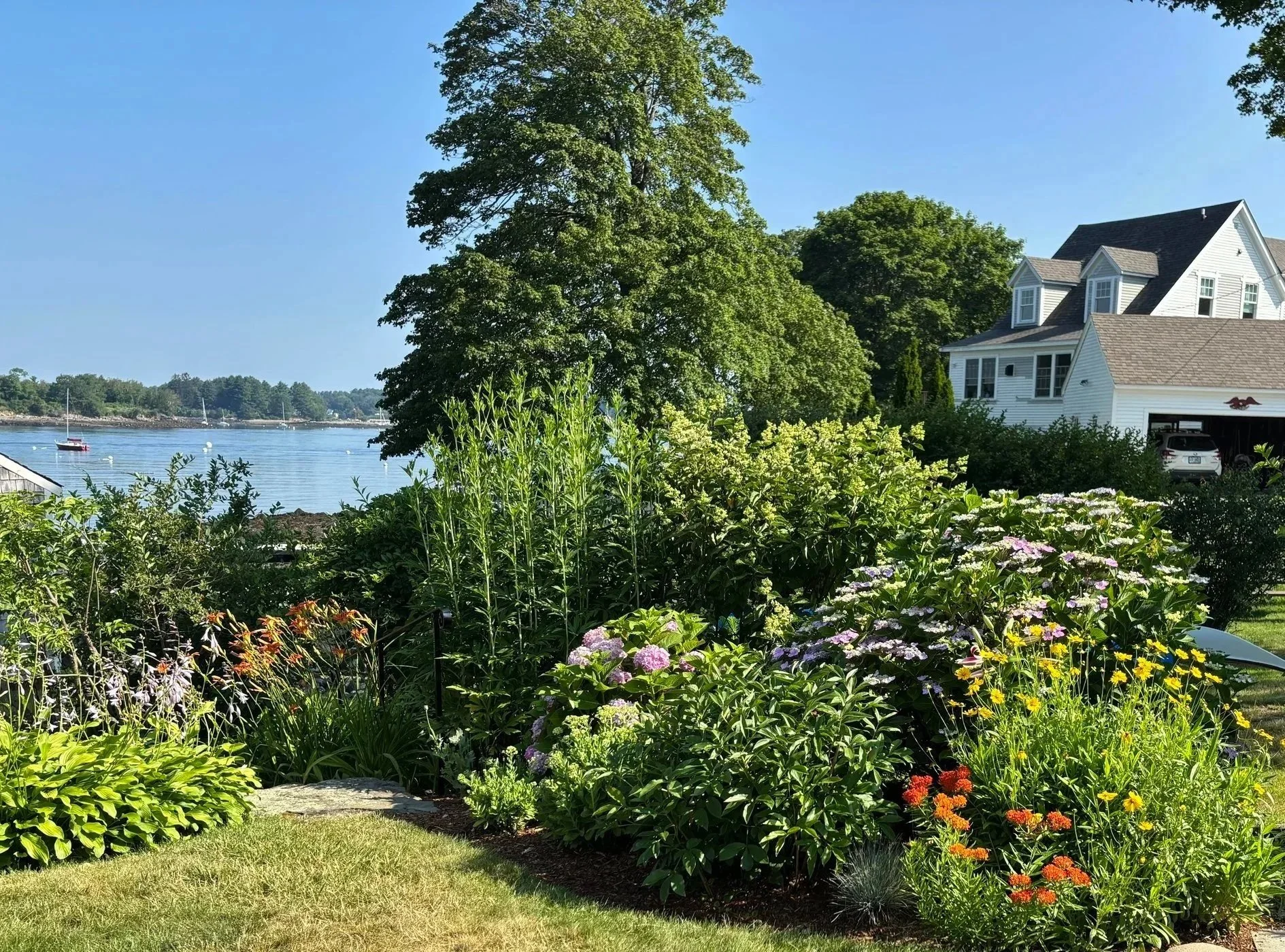 A lakeside garden with lush green shrubs and flowering plants in the foreground, large trees, a white house with a garage, a car parked inside, and a calm body of water with sailboats and a distant shoreline in the background on a bright, sunny day.