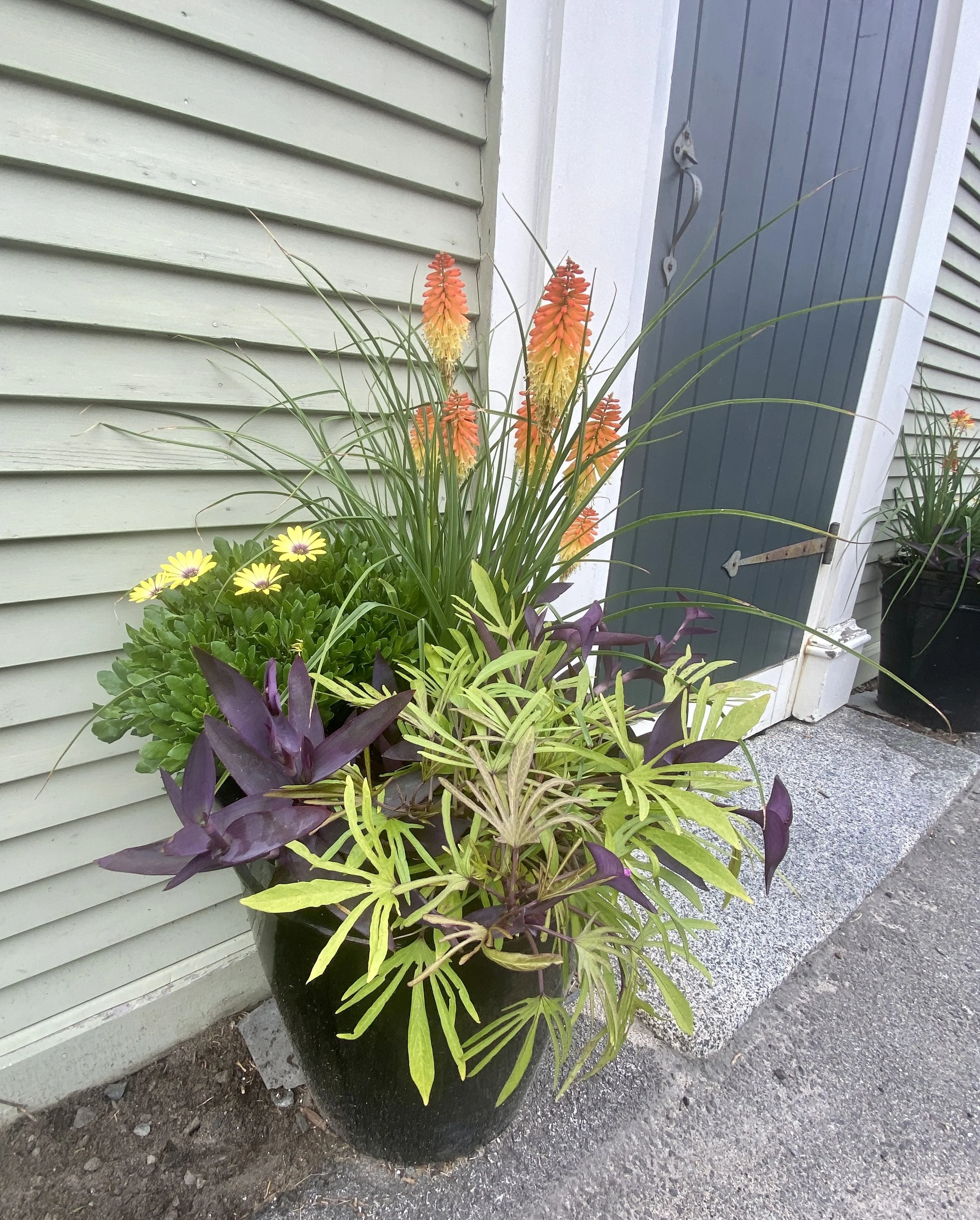 A black flower pot with colorful plants and flowers placed on the sidewalk near a green and blue house wall.
