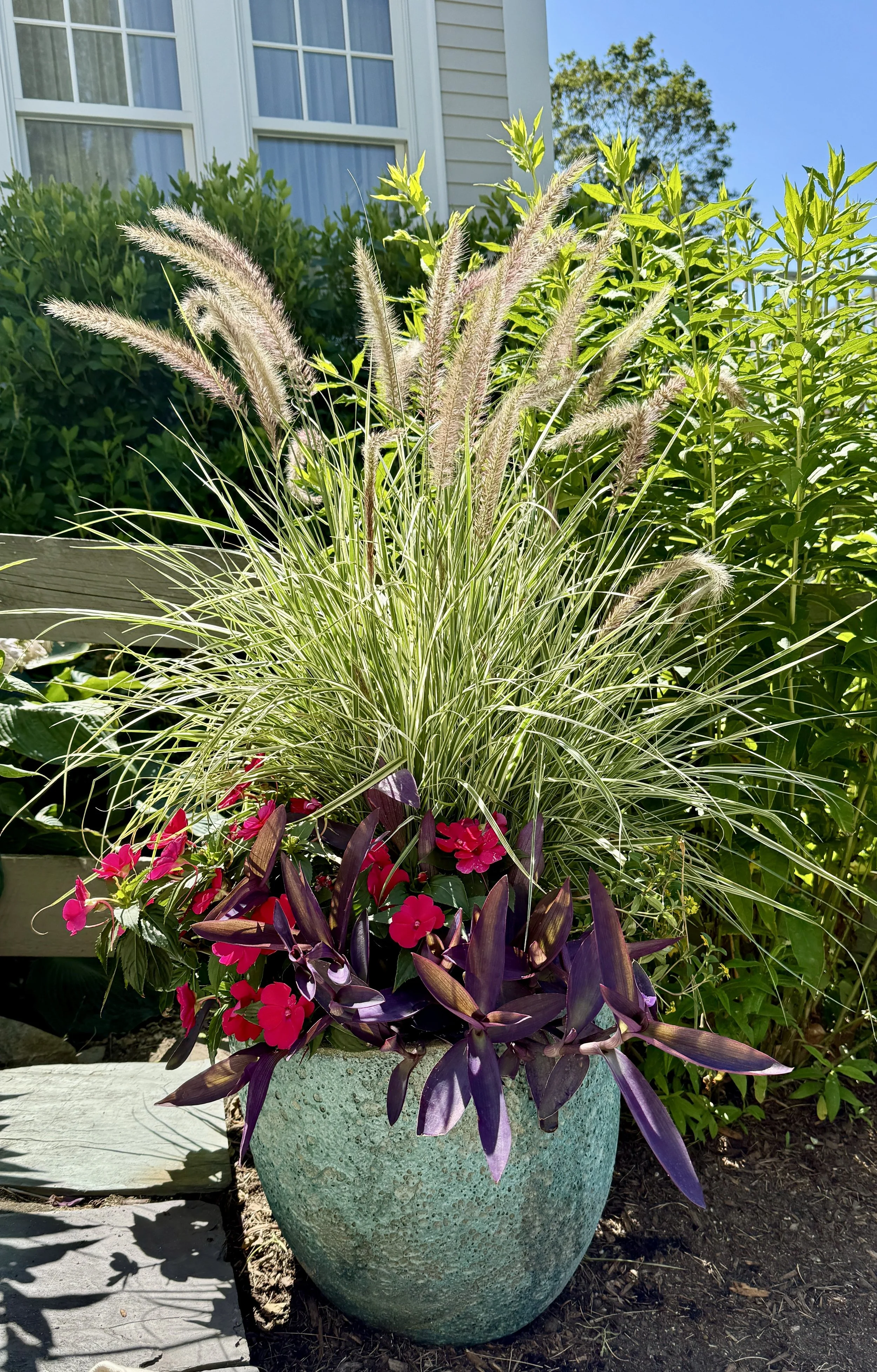 A large ceramic planter with tall ornamental grass, pink flowers, and purple foliage, set outdoors in a garden with a house and green bushes in the background.