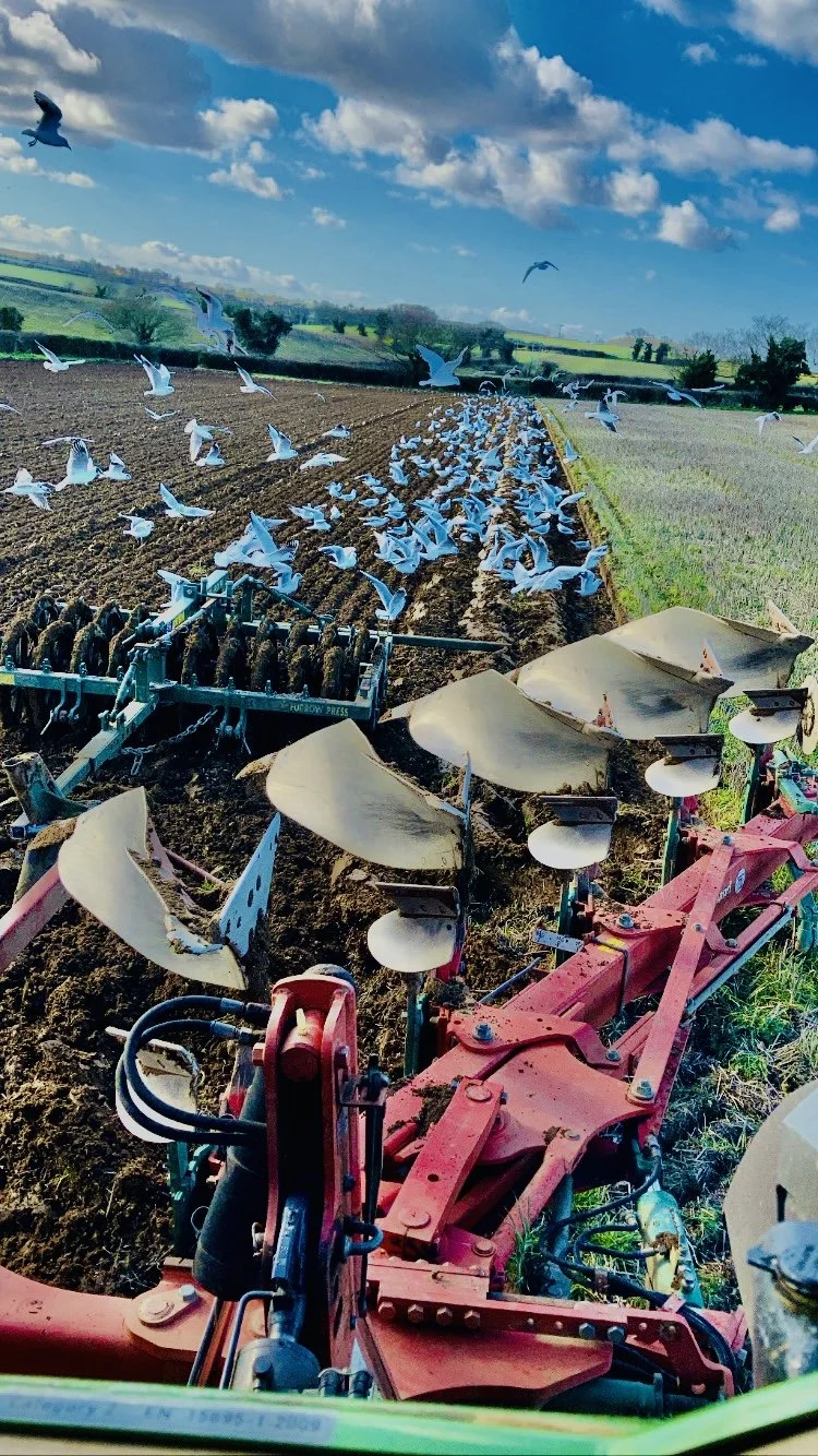 Combine Harvesting Contracting