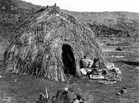 Apache Wickiup, 1903 Edward Curtis photo, courtesy of Wikipedia