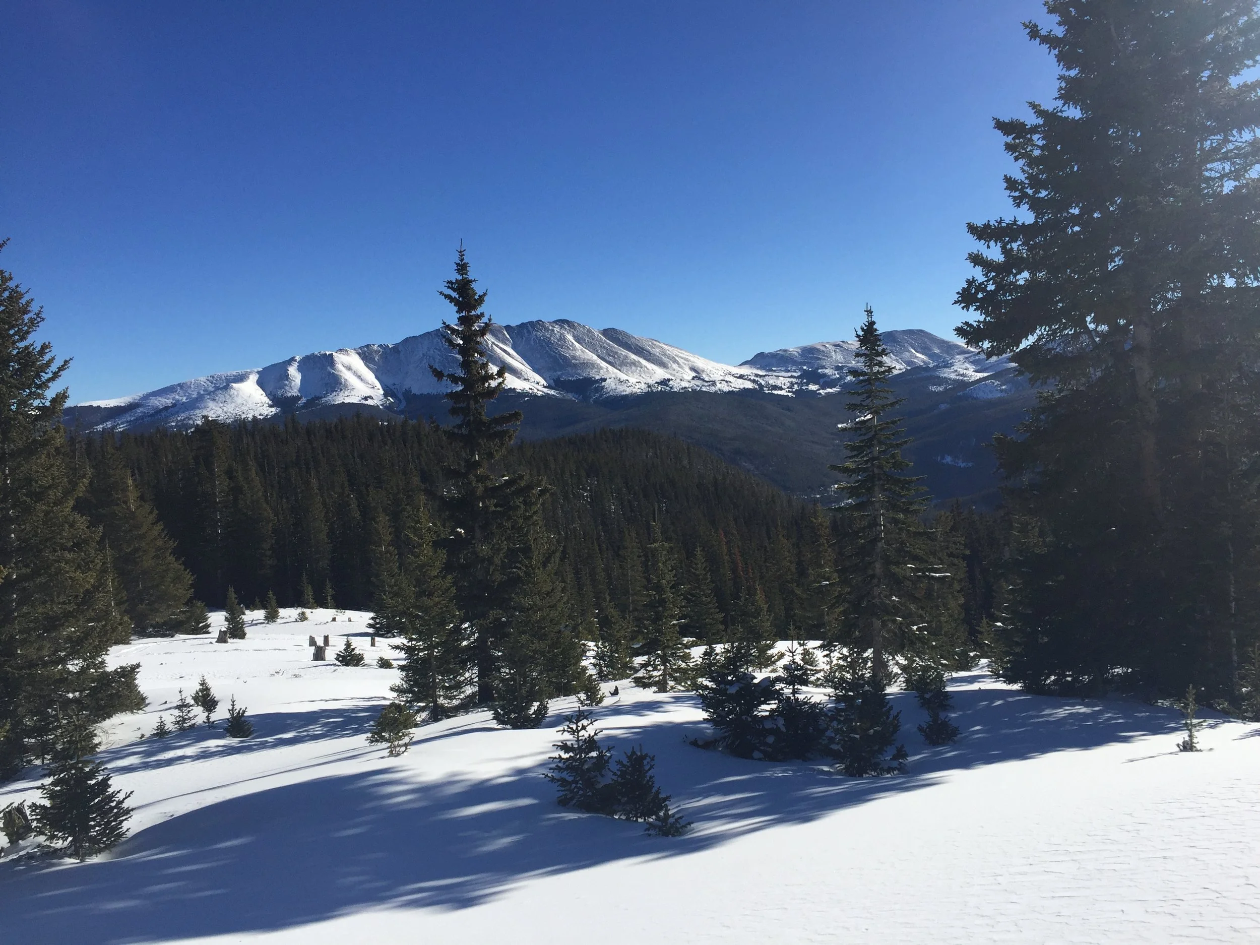 Views from Francie’s Cabin