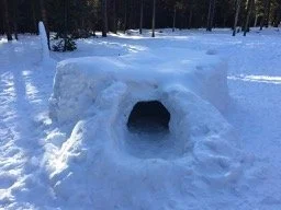 Kid Friendly!