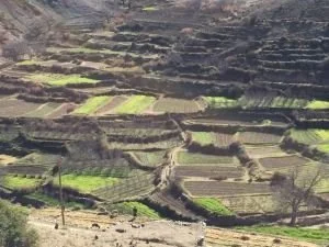 Typical Berber valley floor