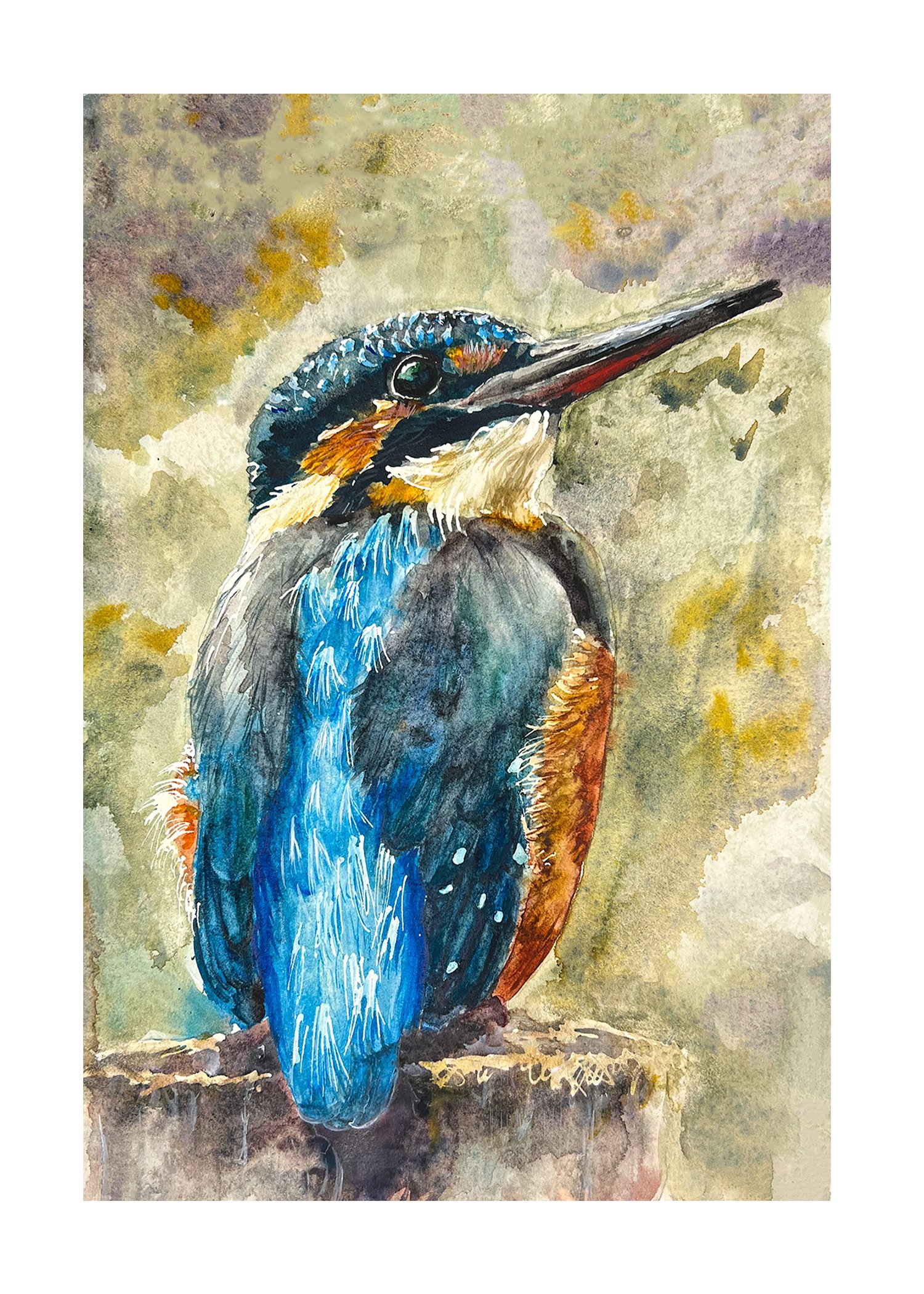 5x7_Kingfisher.jpg