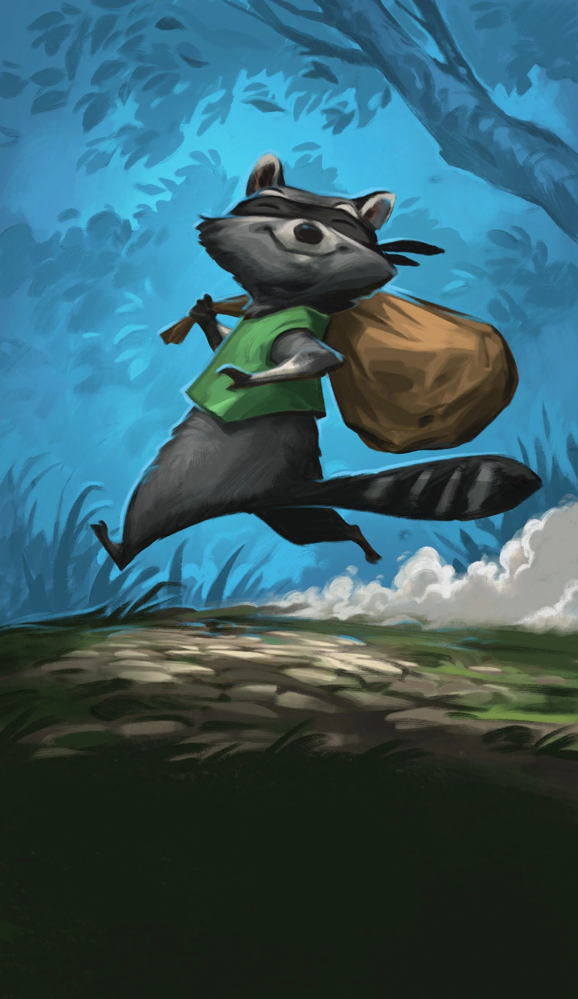 Raccoon - Hens Gruber