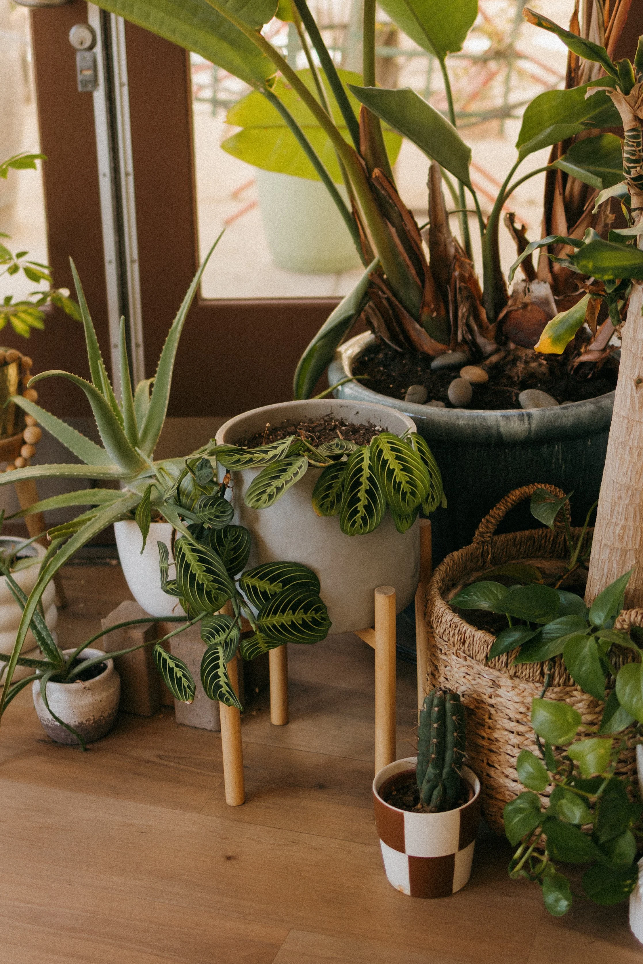 how sustainable is davines really? deep dive into ingredients, packaging &amp; carbon footprint