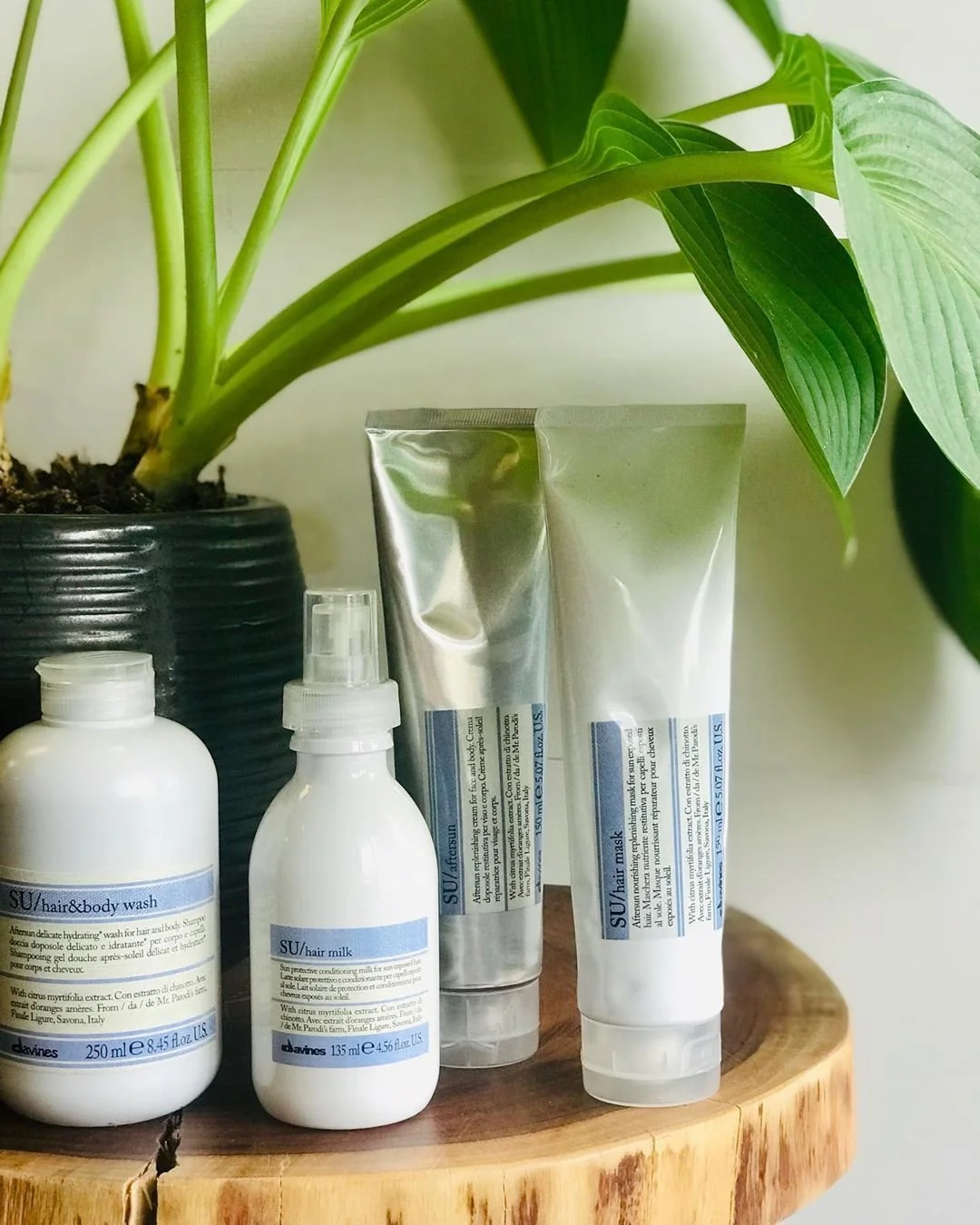 sunkissed &amp; protected