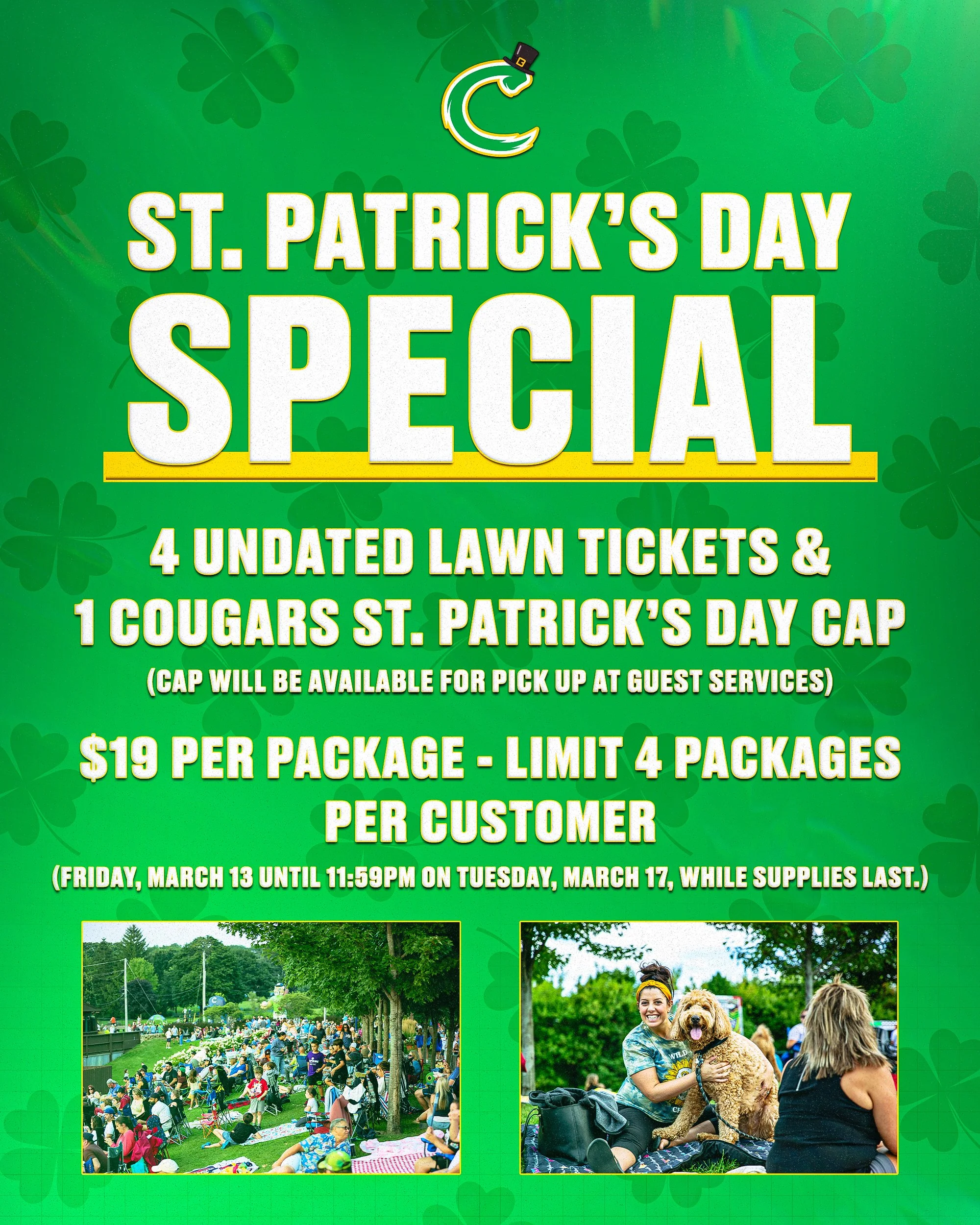 St. Patrick's Day Lawn Package