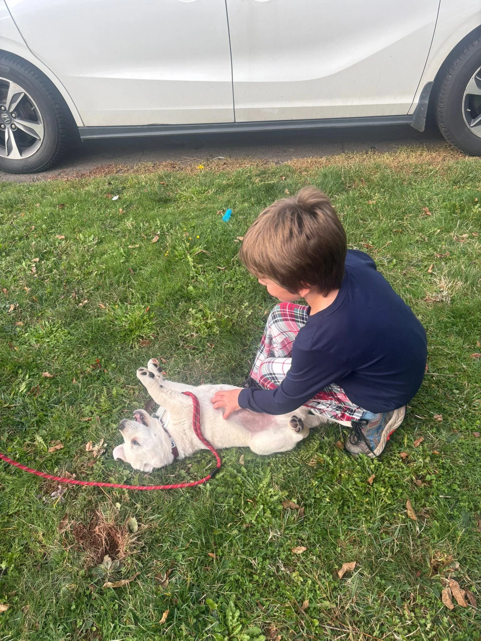 Tyler Palmer is in Europe for work. Quick&hellip;let&rsquo;s get a puppy while he&rsquo;s away&hellip;. Meet Kevin 🥰