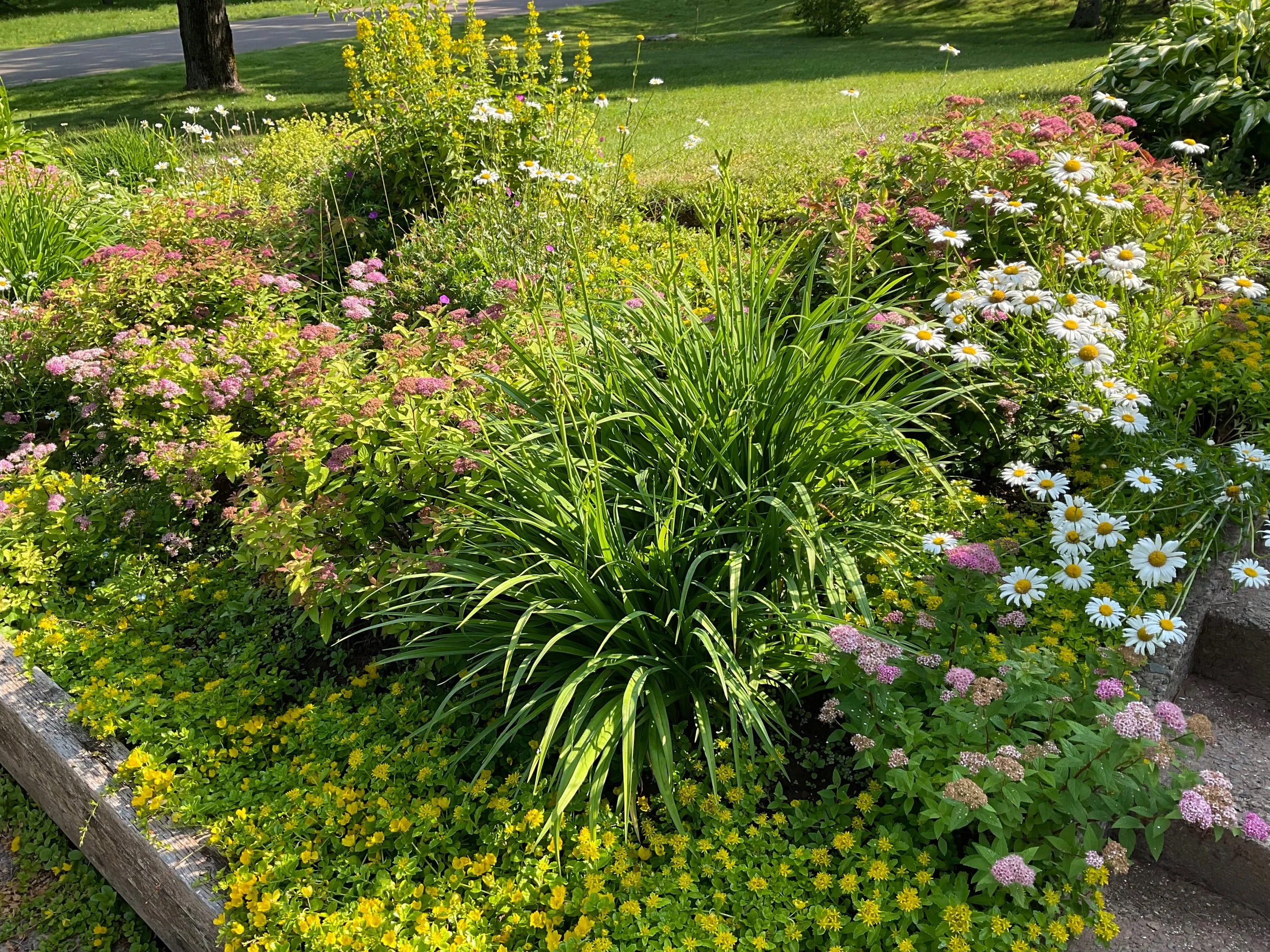 2023-07-13 09.45.50.jpeg