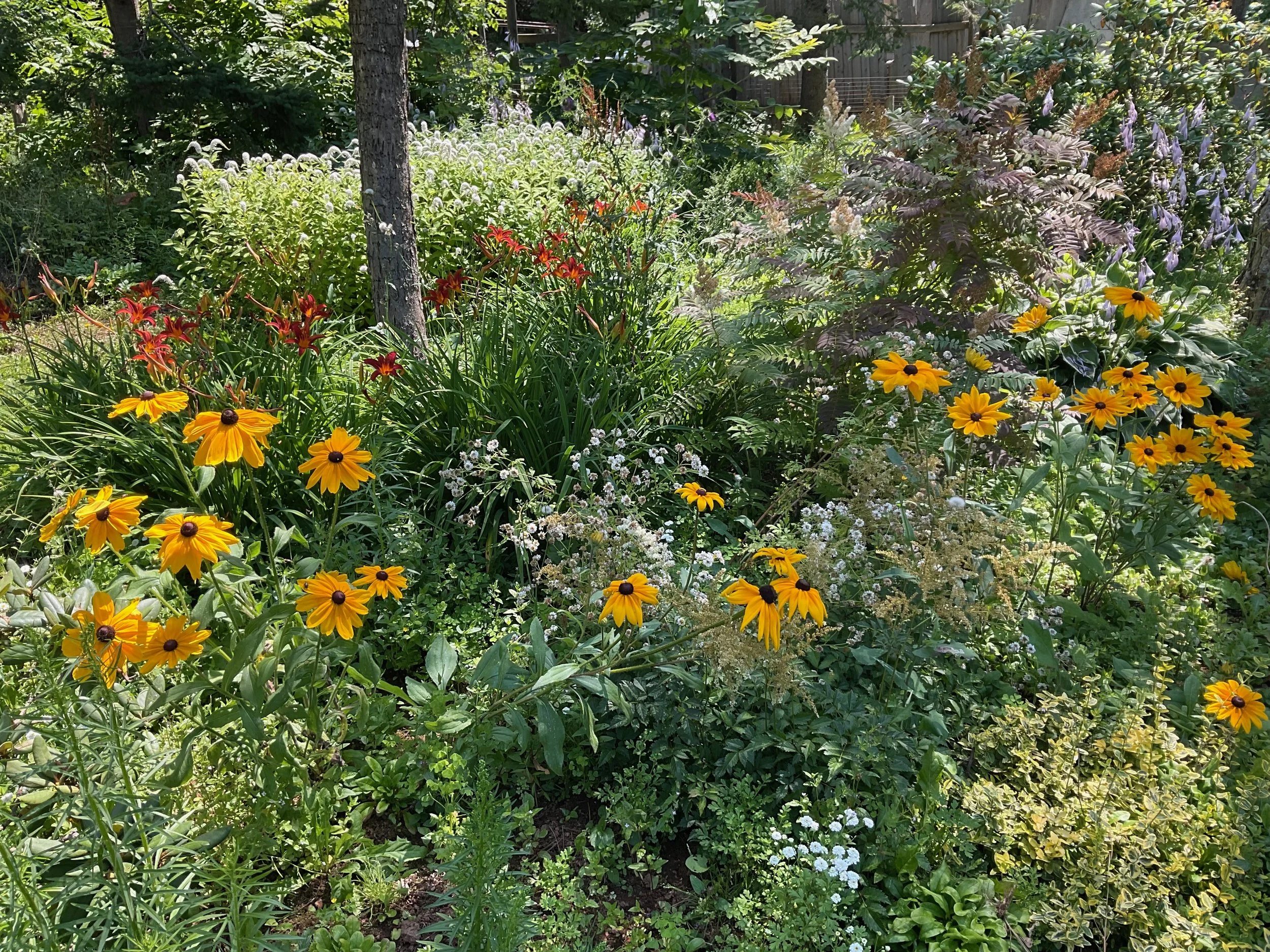 2023-08-04 13.56.54.jpeg