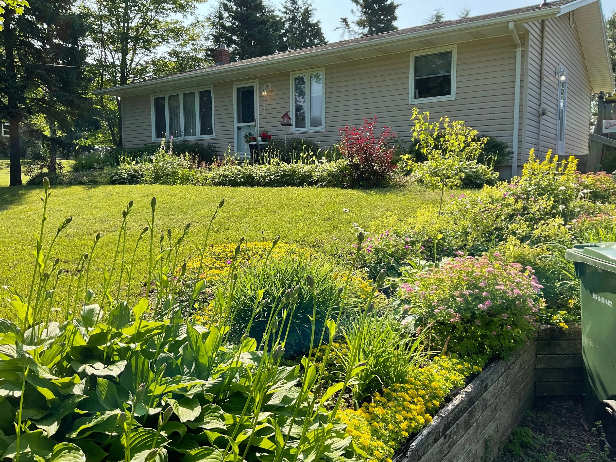 2023-07-13 09.46.31.jpeg