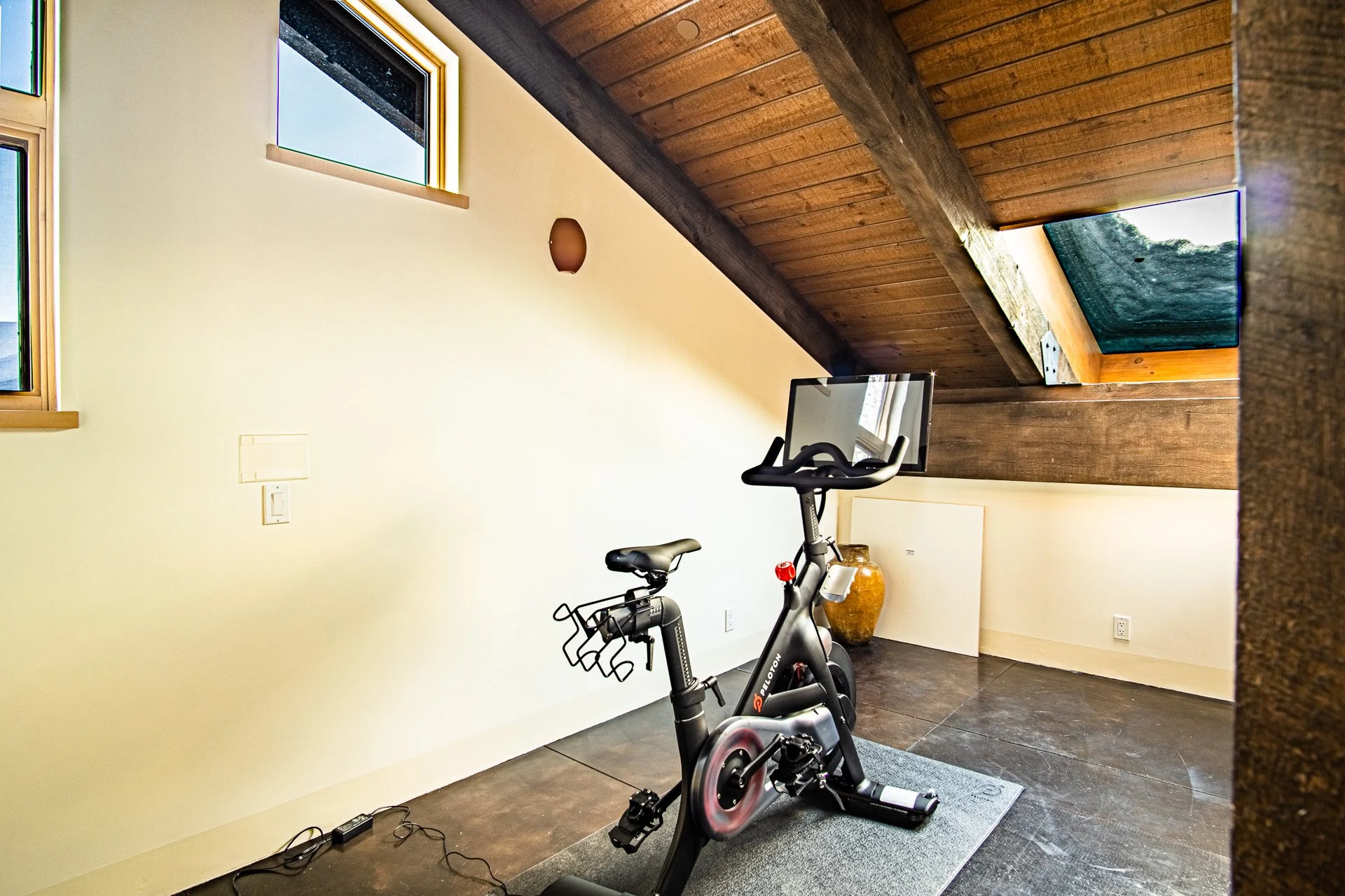 Peloton and Workout Area