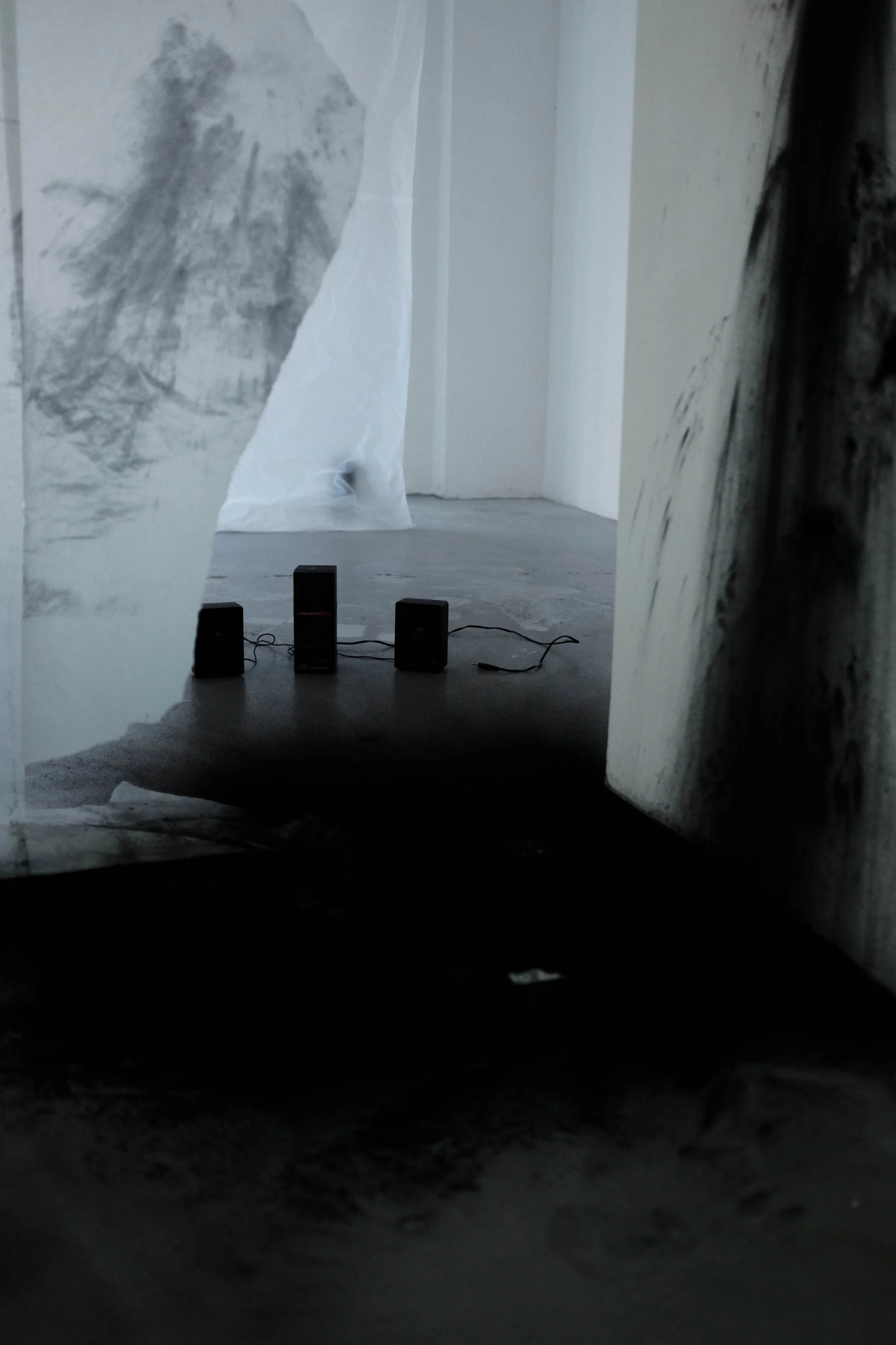 DSCF9943.jpg