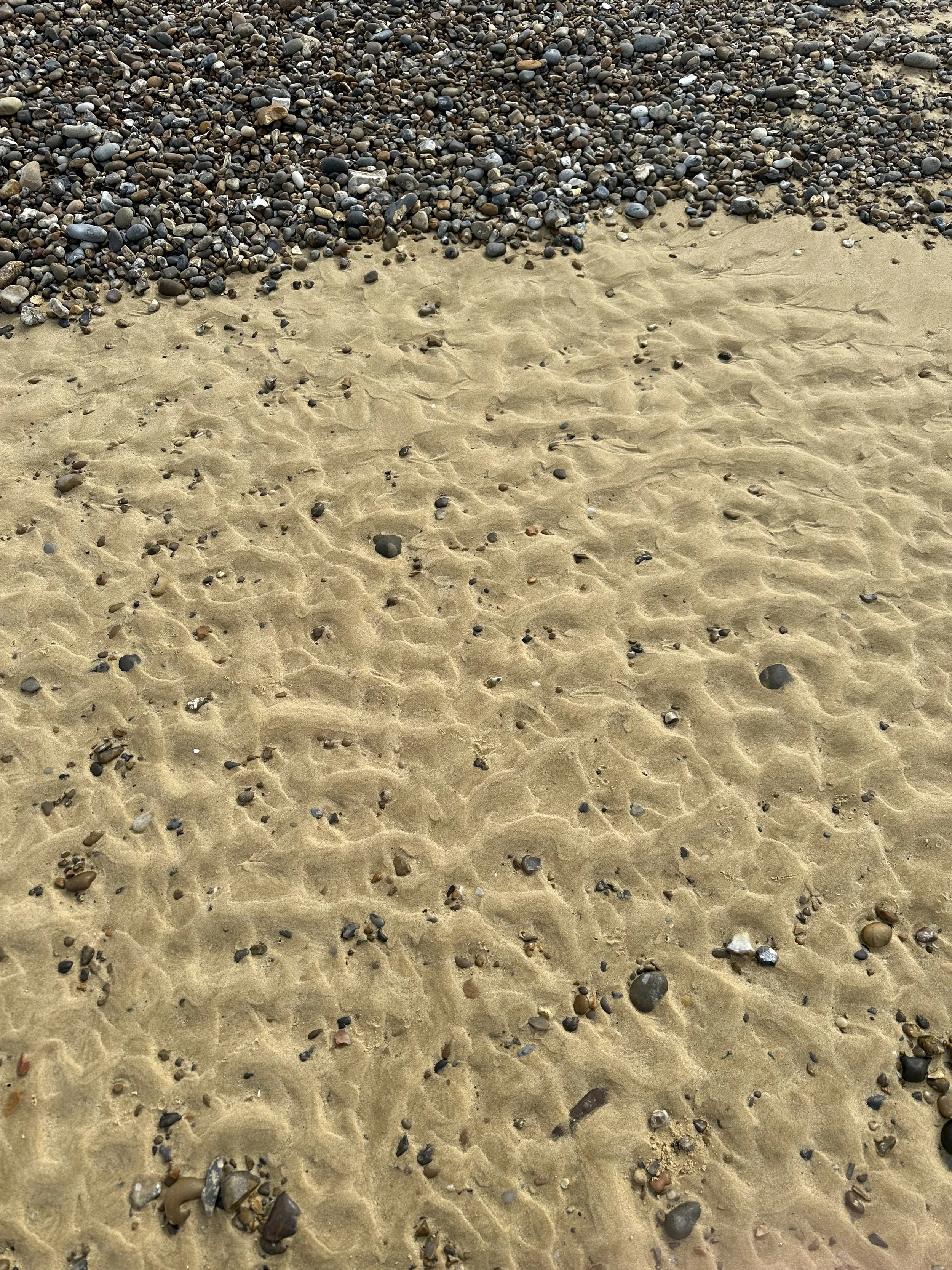 IMG_7049.jpeg