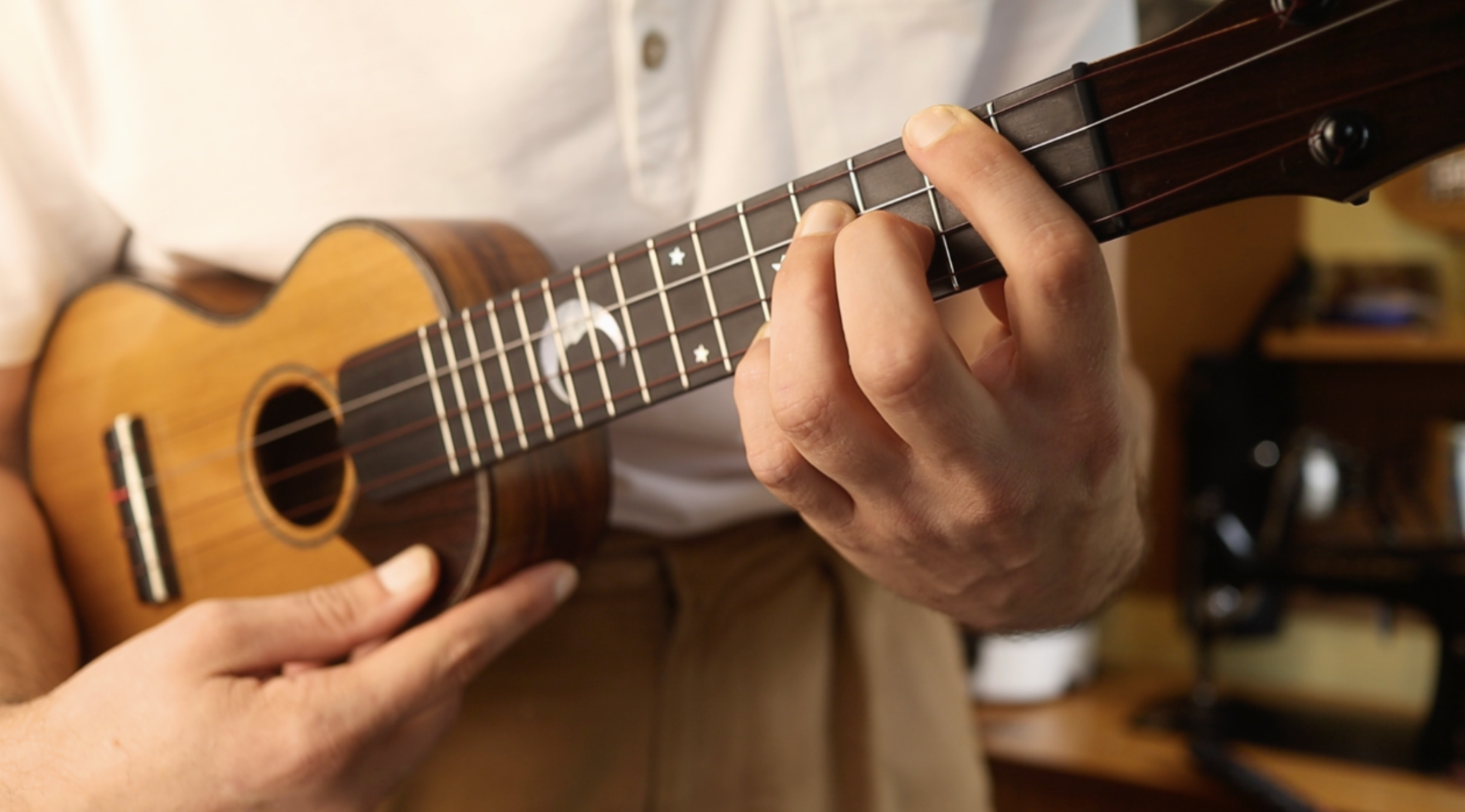  4StringBoy and Christopher Davis-Shannon Concert