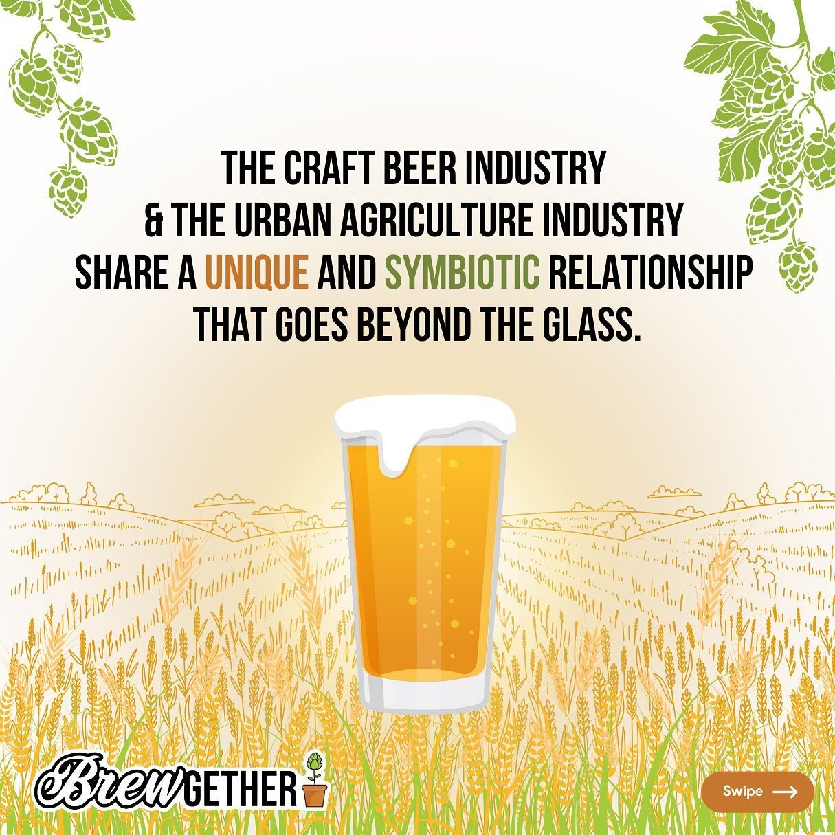 The craft beer industry and the urban agriculture industry share a unique and symbiotic relationship that goes beyond the glass. &lt;SWIPE&gt; #craftbeerxcommunity