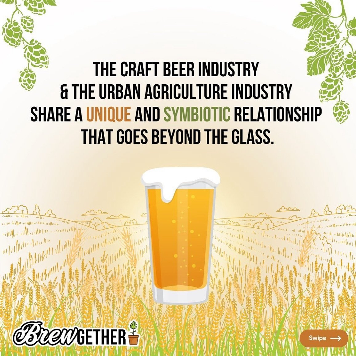 🌿🍺DID YOU KNOW🍺🌿 The craft beer industry and the urban agriculture industry share a unique and symbiotic relationship that goes beyond the glass.

#BrewGether #craftbeerxcommunity