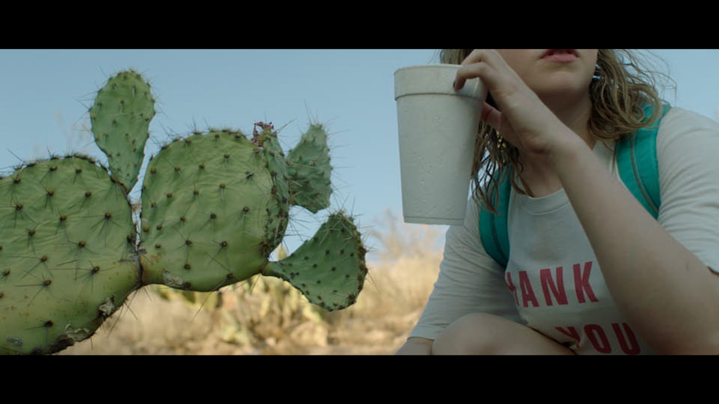 reel.00_00_12_12.Still005.jpg