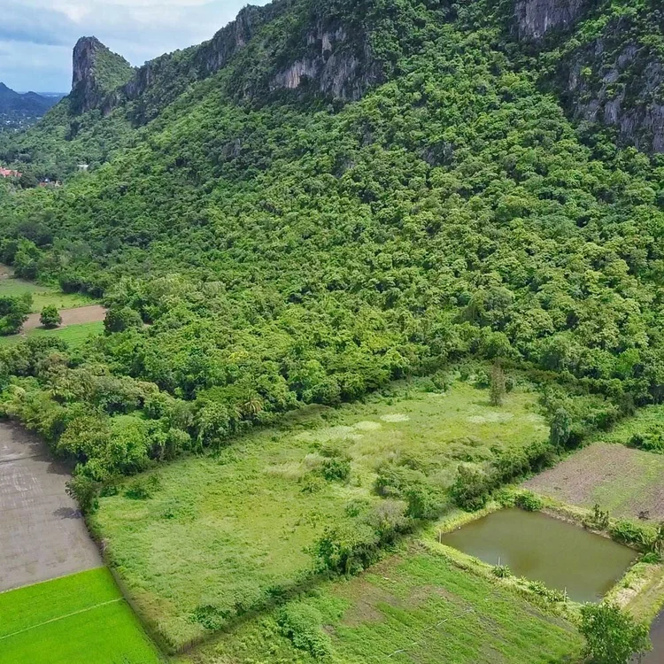 Matching Grant! Country Property to Support F5 Bangkok Center of Influence