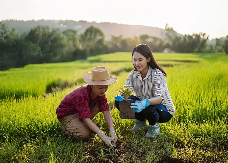 What Does Gardening Have to do with Bible Workers?
