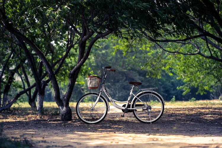 Before They Call, I Will Answer: A JFA Bible Worker Story