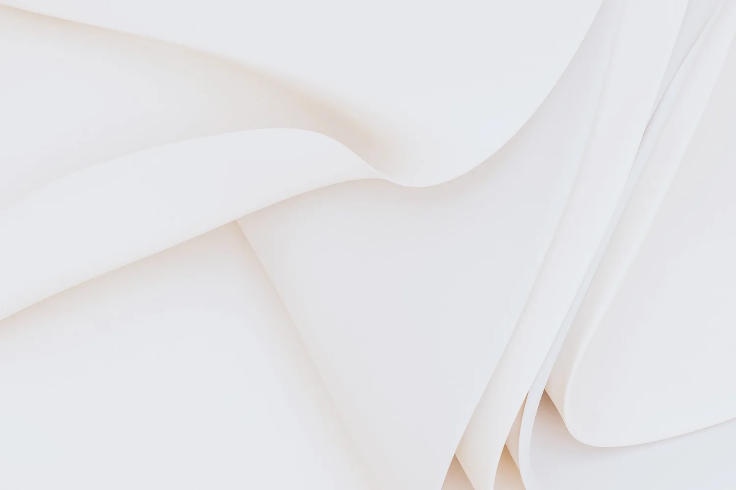 Our Team | Meet Our Experts — Modern Mods