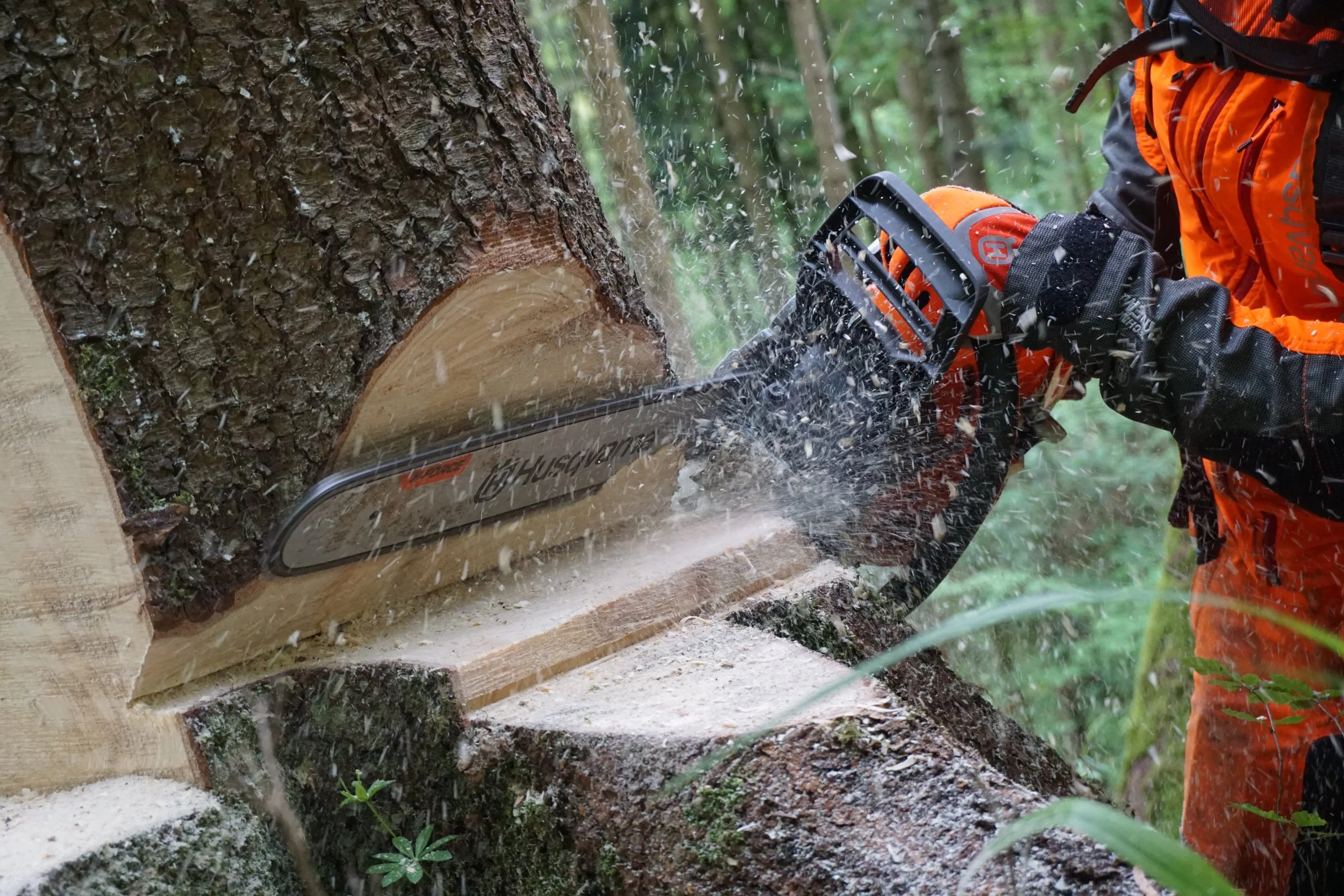 Optimale Manövrierbarkeit &amp; Produktivität: Neue Mark II Generation der 560 XP und 562 XP Kettensägen von Husqvarna