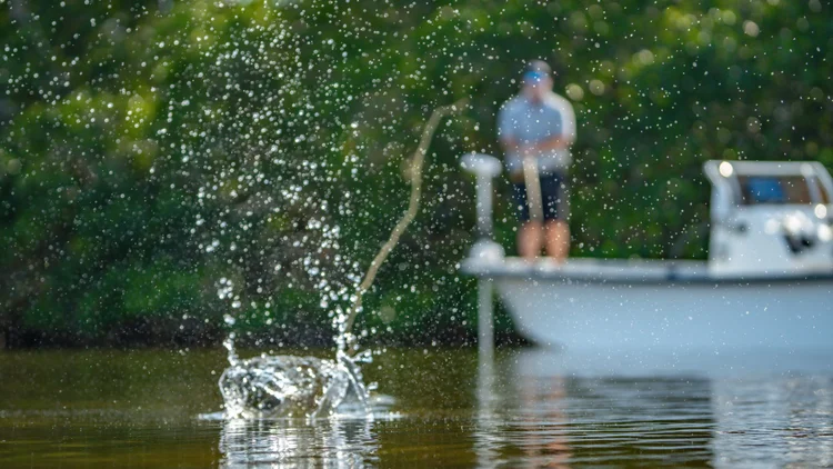 Water Splash Action Shot