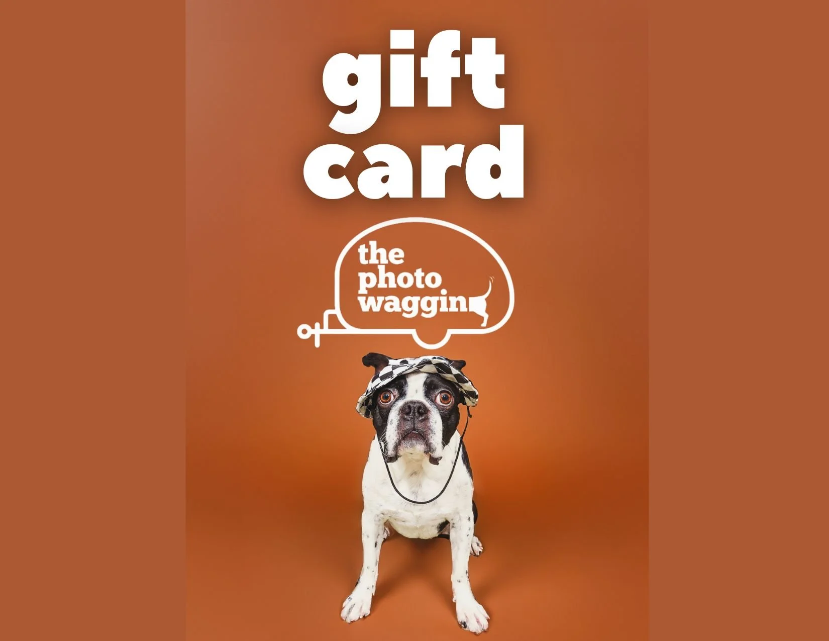 The Photo Waggin' .jpg