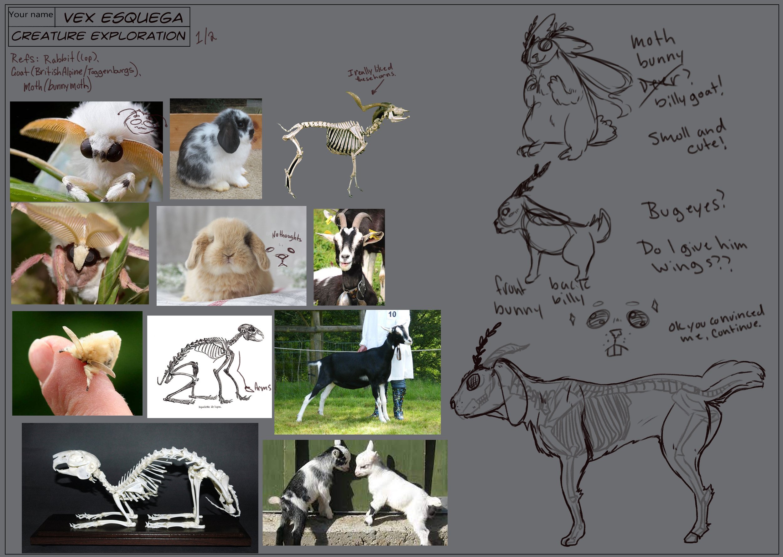 Esquega_Vex_Creature_Exploration_1.jpg