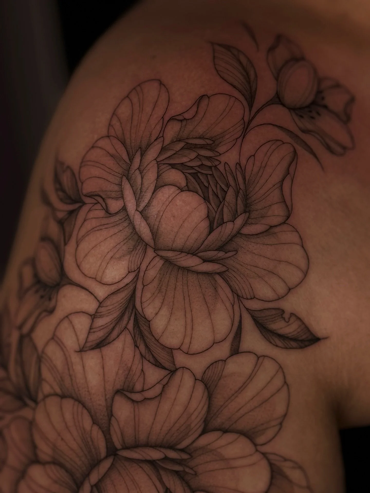 Some close ups of a peony concept&mdash; the start of a floral body concept🧚🏼&zwj;♀️

I&rsquo;m in love I&rsquo;m obsessed🎶

$200 off any custom peony concept booked for March🫶🏼

#tattoo #tattooartist #finelinetattoo #ohiotattooartist #peonytatt