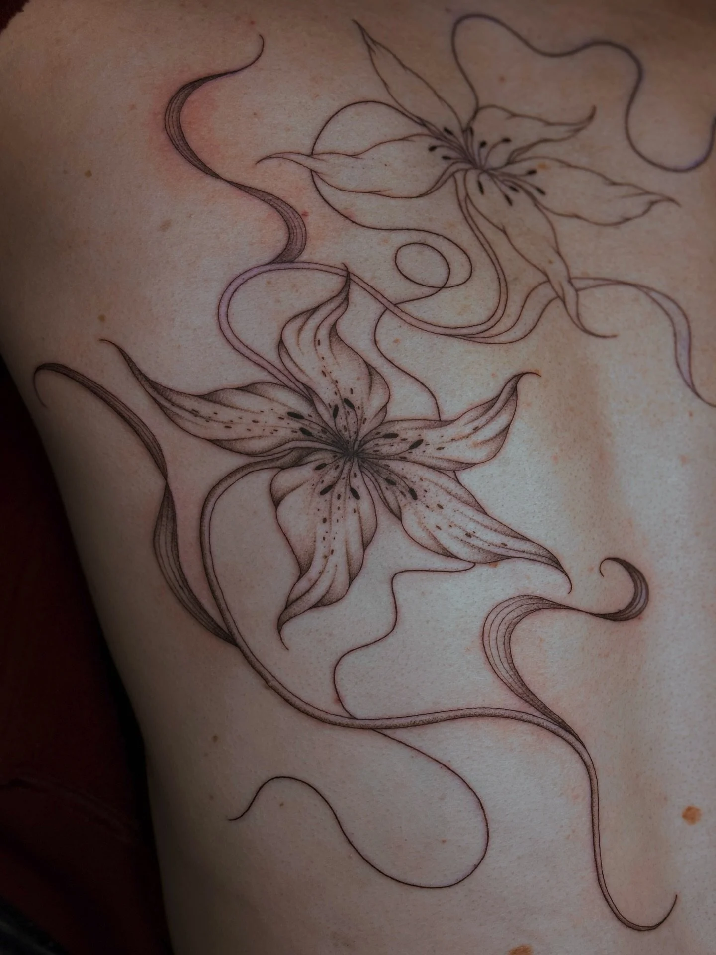 I 🧡 this style of lilies

I&rsquo;m dying to finish it😫 

#tattoo #tattoos #tattooartist #finelinetattoo #lilytattoo