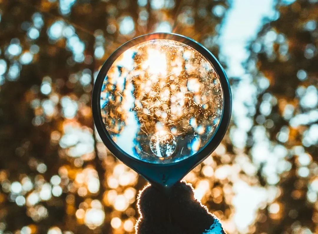 Accountability Is the Symptom, Not the Problem