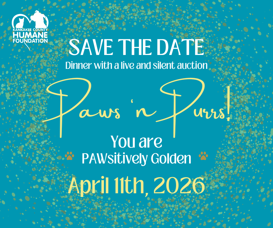 2026 Paws &amp; Purrs