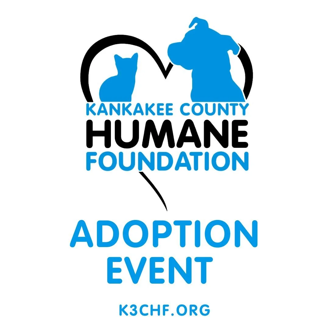 Adoption Event: Carpet Weavers 