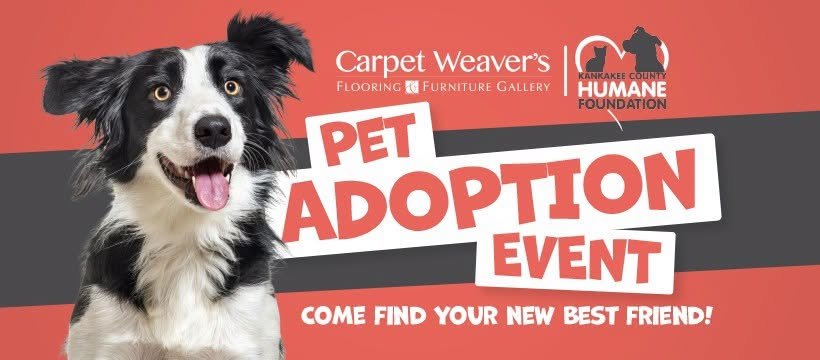 Adoption Event: Carpet Weavers 