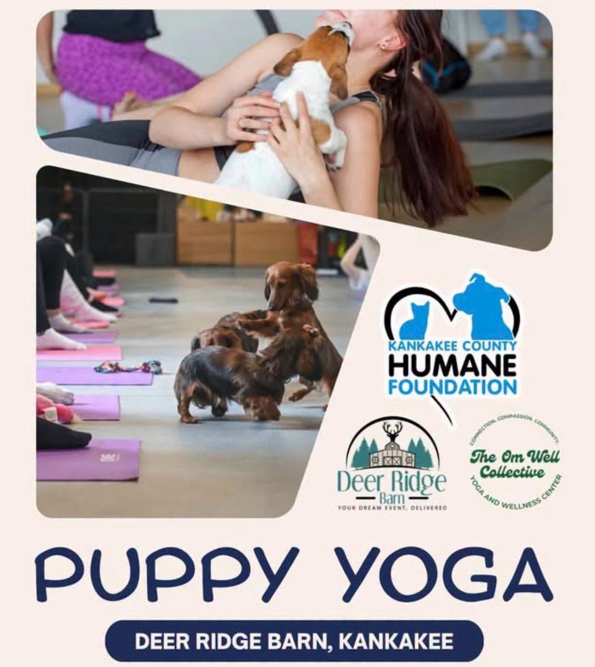 Puppy Yoga