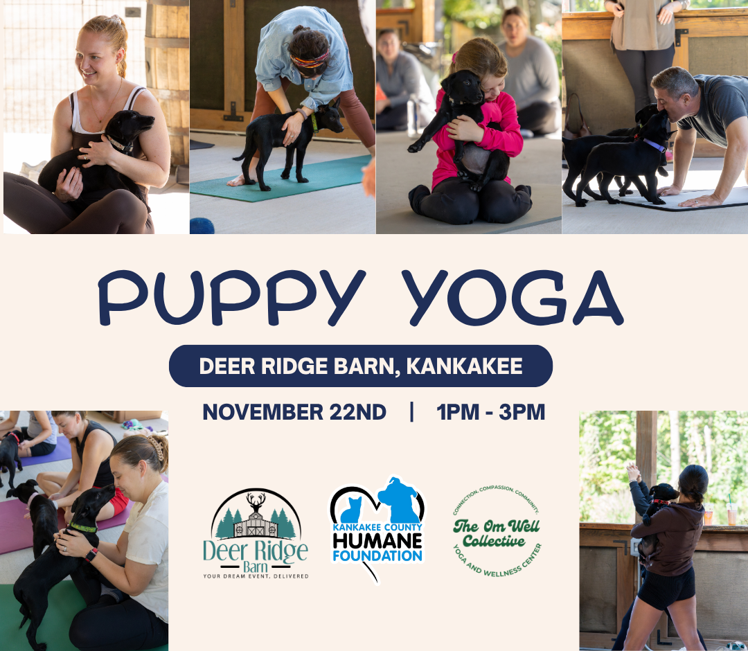 November Puppy Yoga 