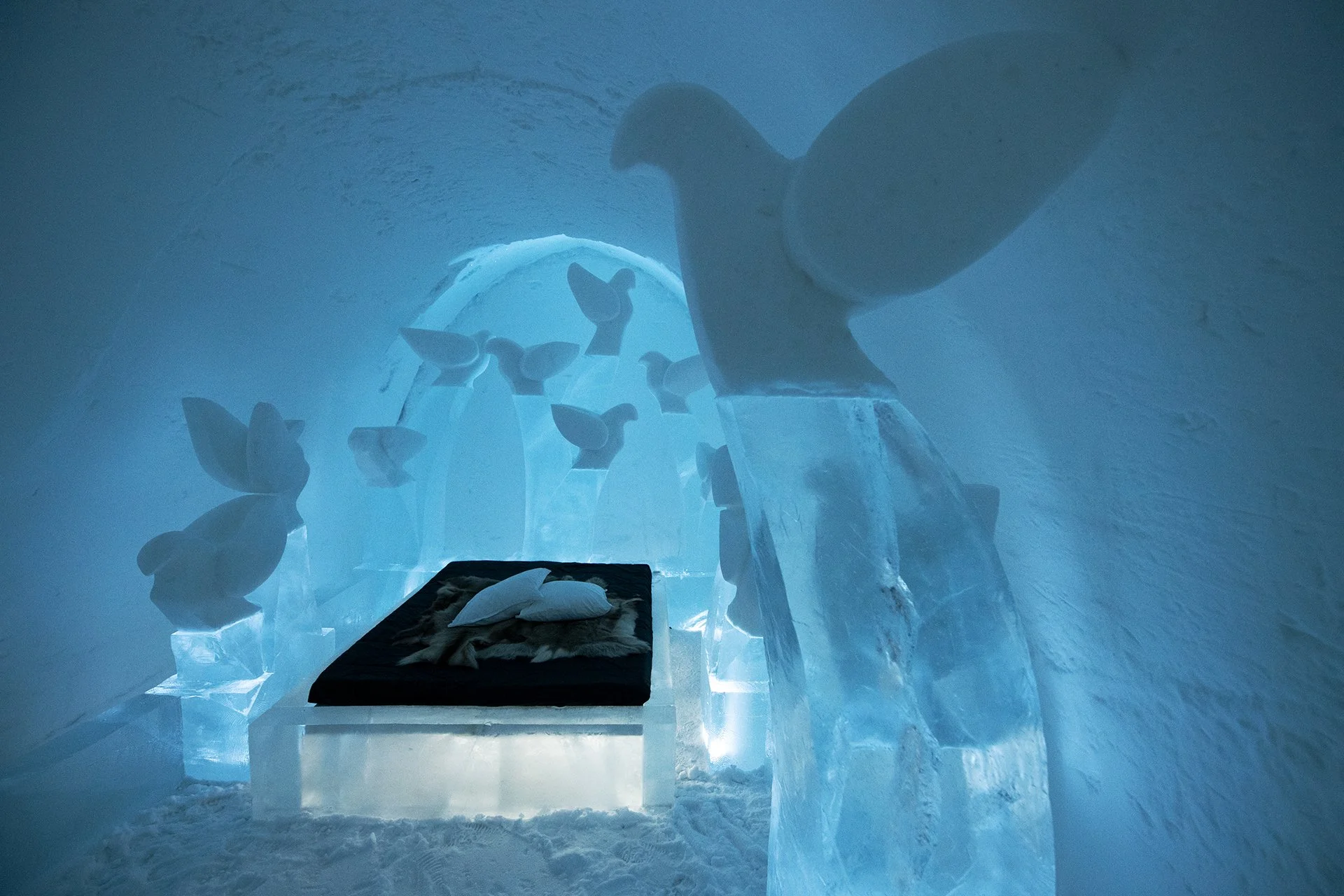 JBX_TT91736-1 kopiera.jpg