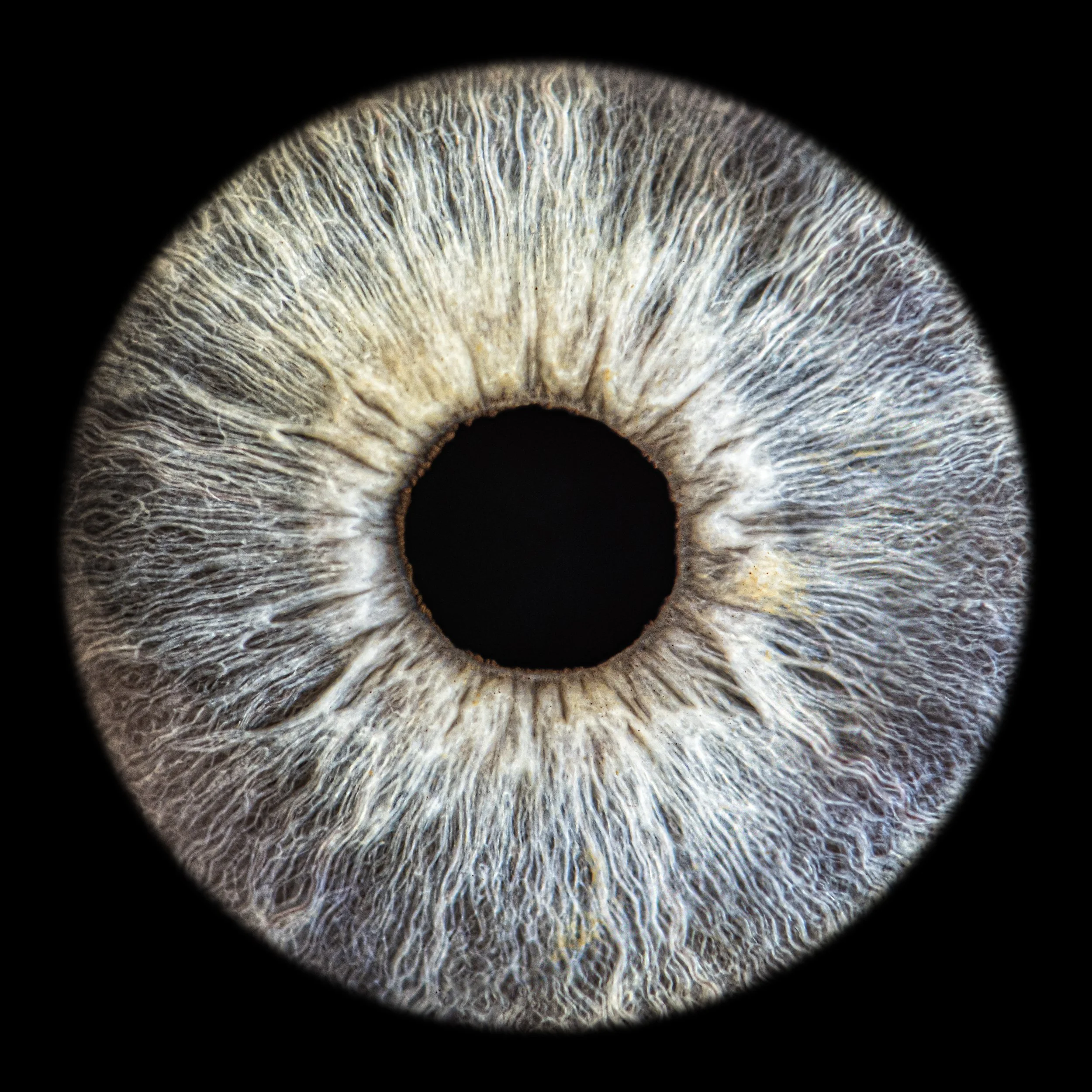 Infinite Eye 1828.jpg
