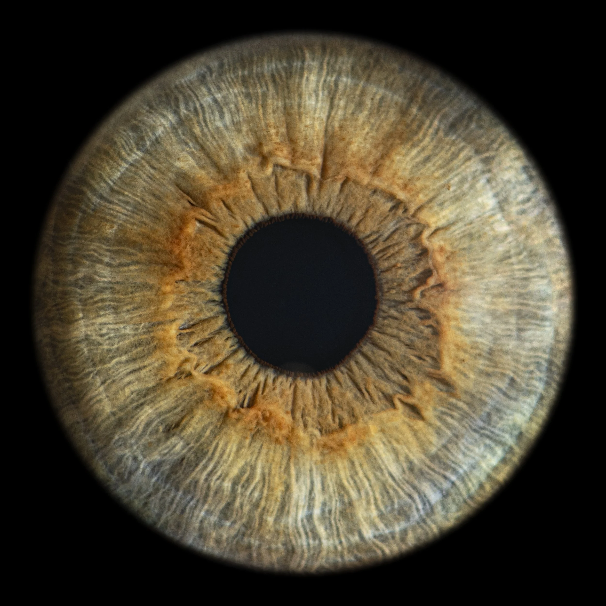 InfniteEye-1.jpg