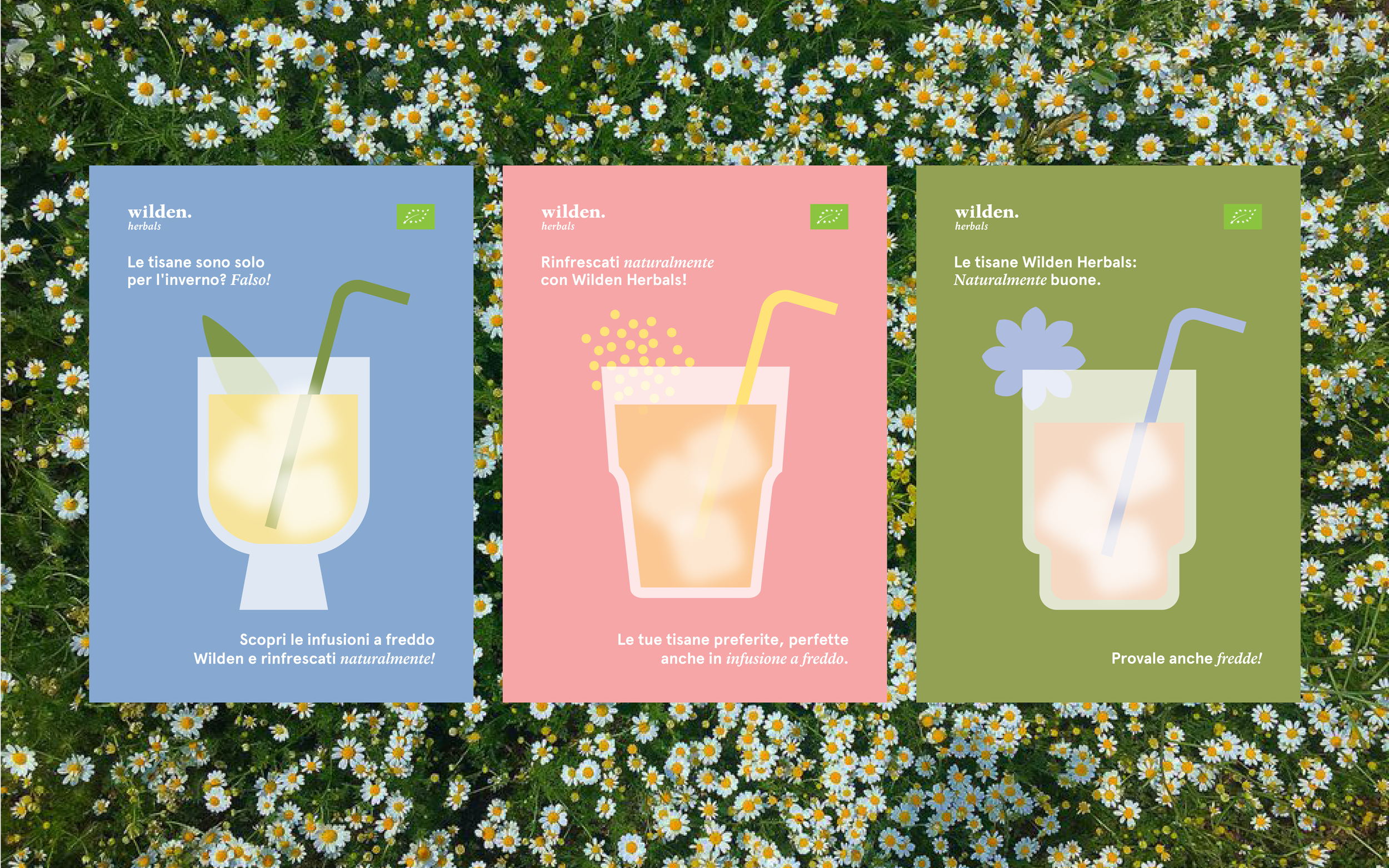 A5 cards wilden summer tea3.png