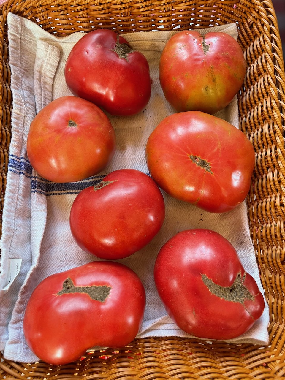 heirloomtomatoes.jpeg