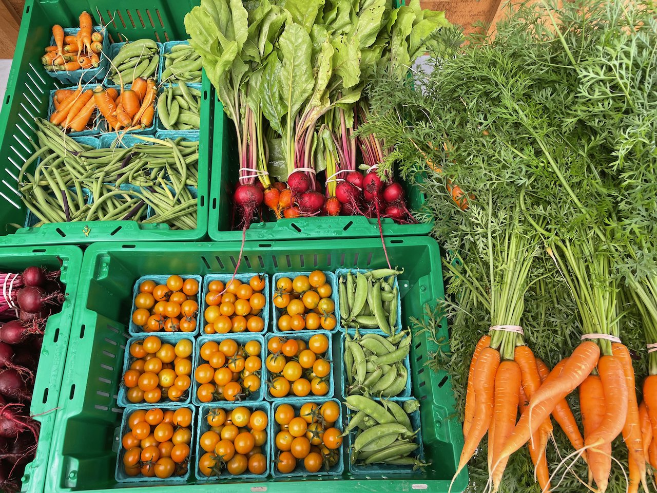 abundance.jpeg